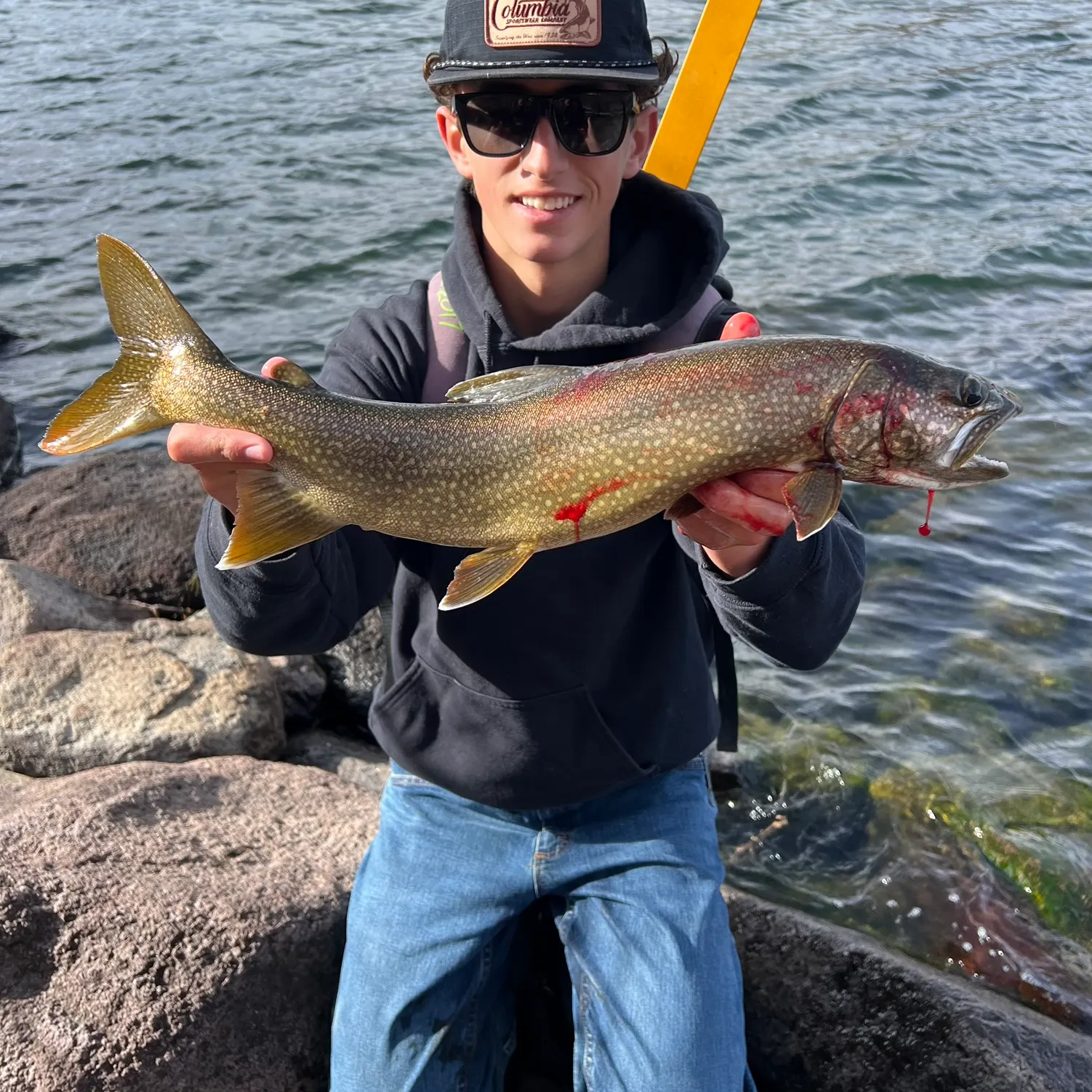 The most recent Lake char catches on Fishbrain