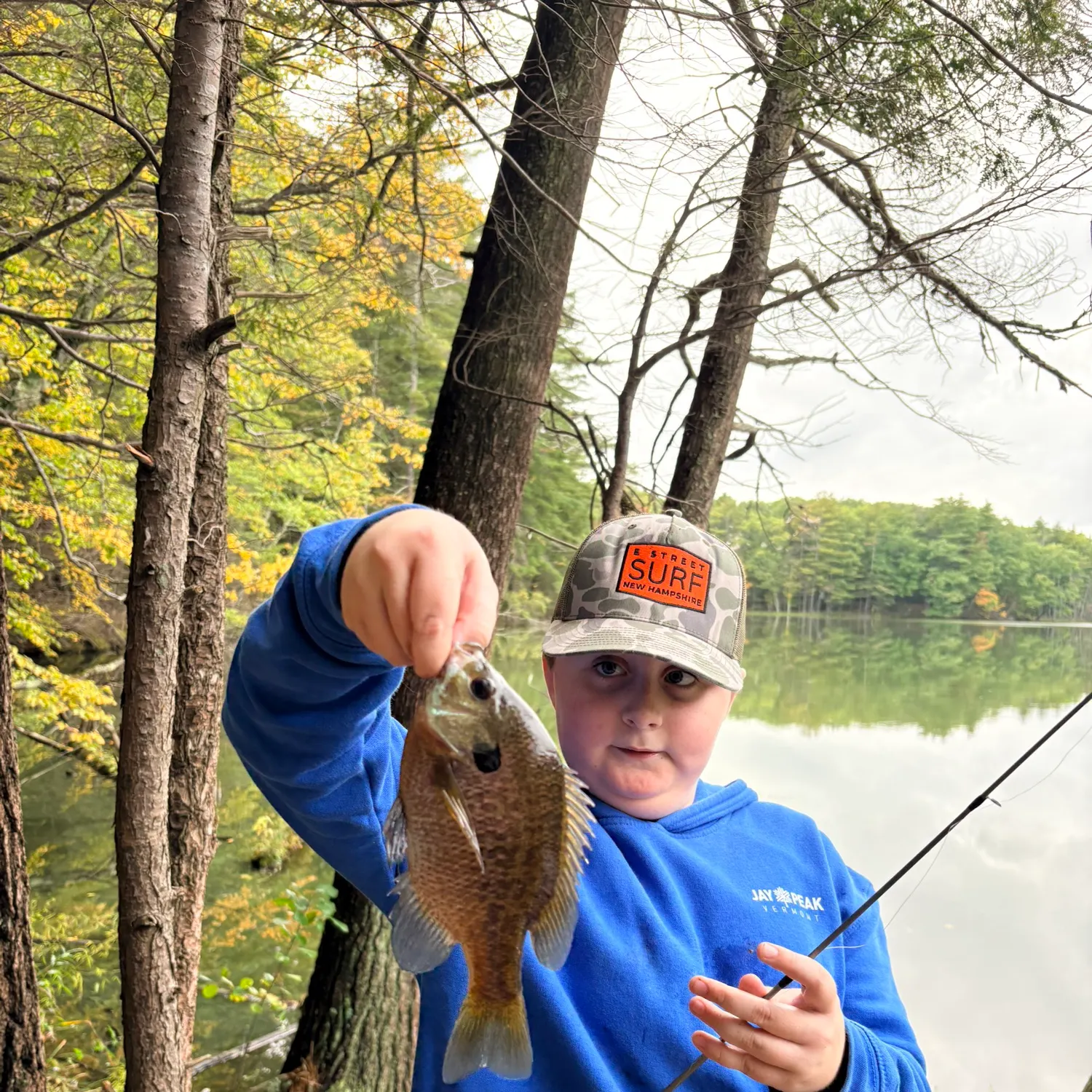 Bluegill caught on Fishbrain