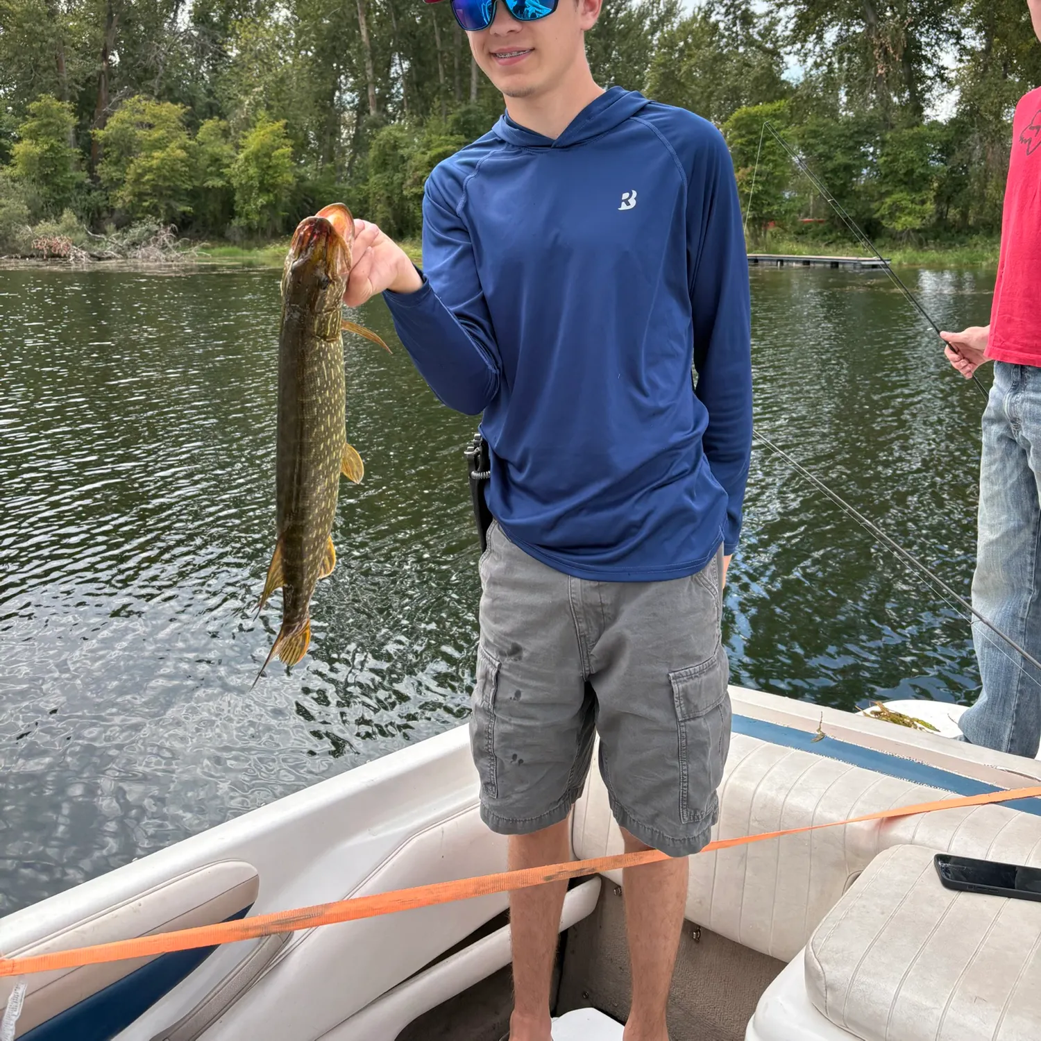 Northern pike caught on Fishbrain