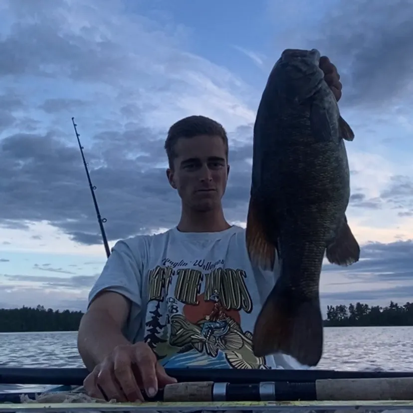 Smallmouth bass caught on Fishbrain