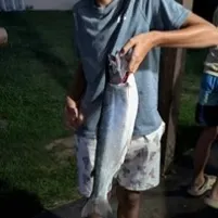 Rainbow trout caught on Fishbrain