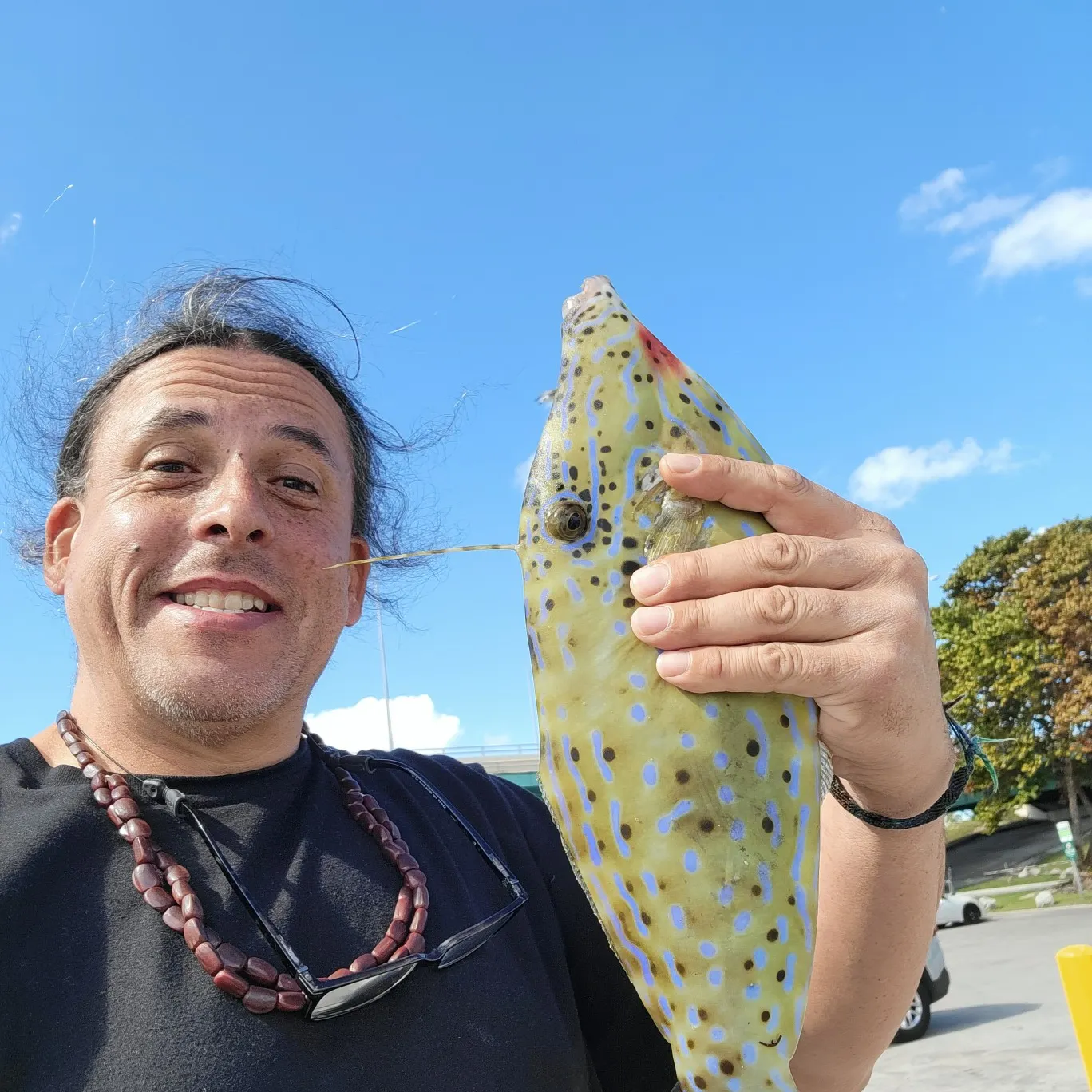 most liked catch image