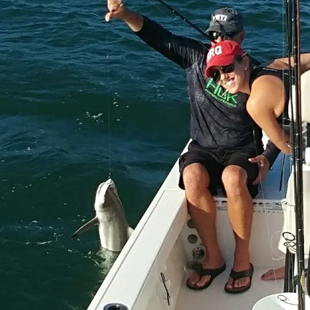 The most recent Blacktip shark catches on Fishbrain