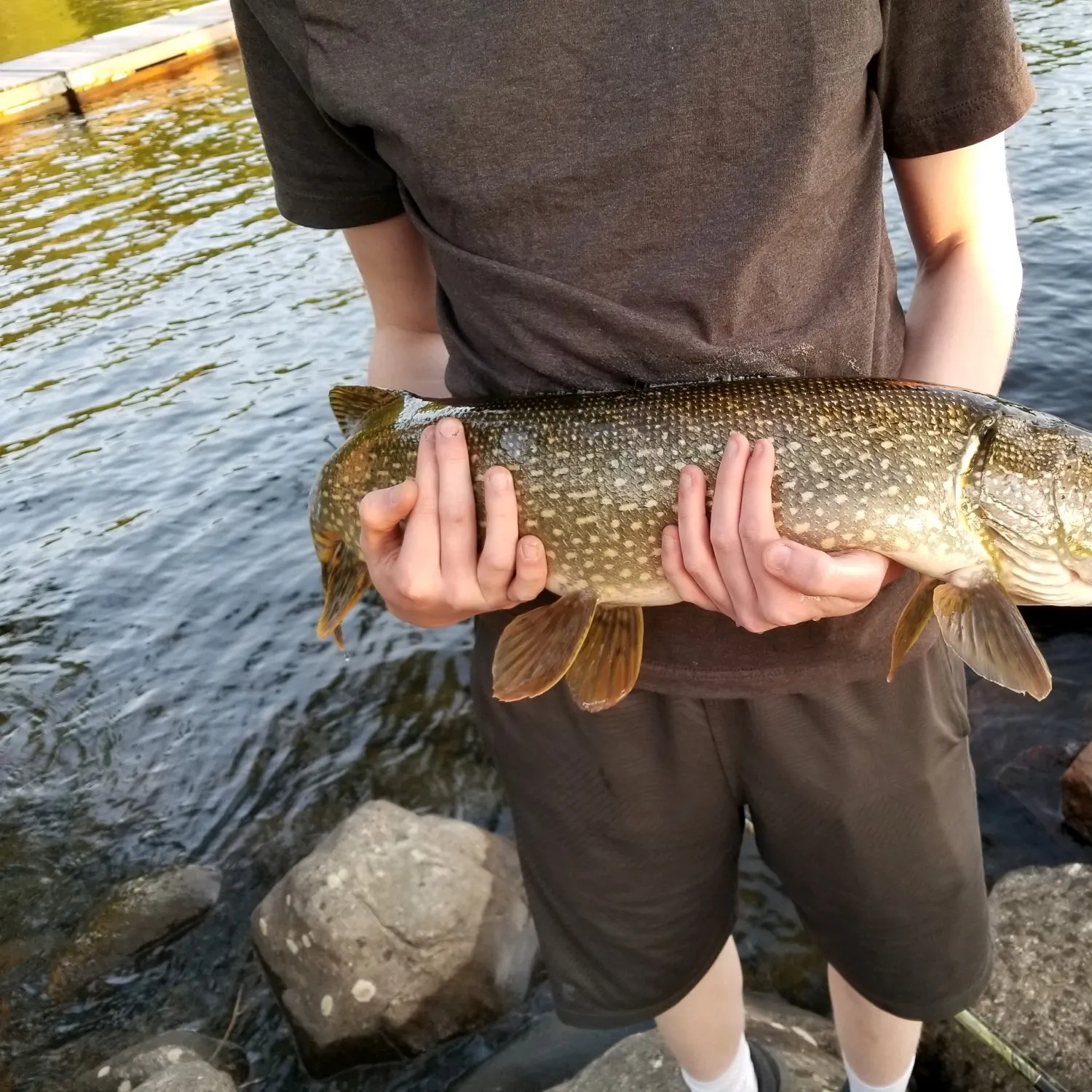 Northern pike caught on Fishbrain