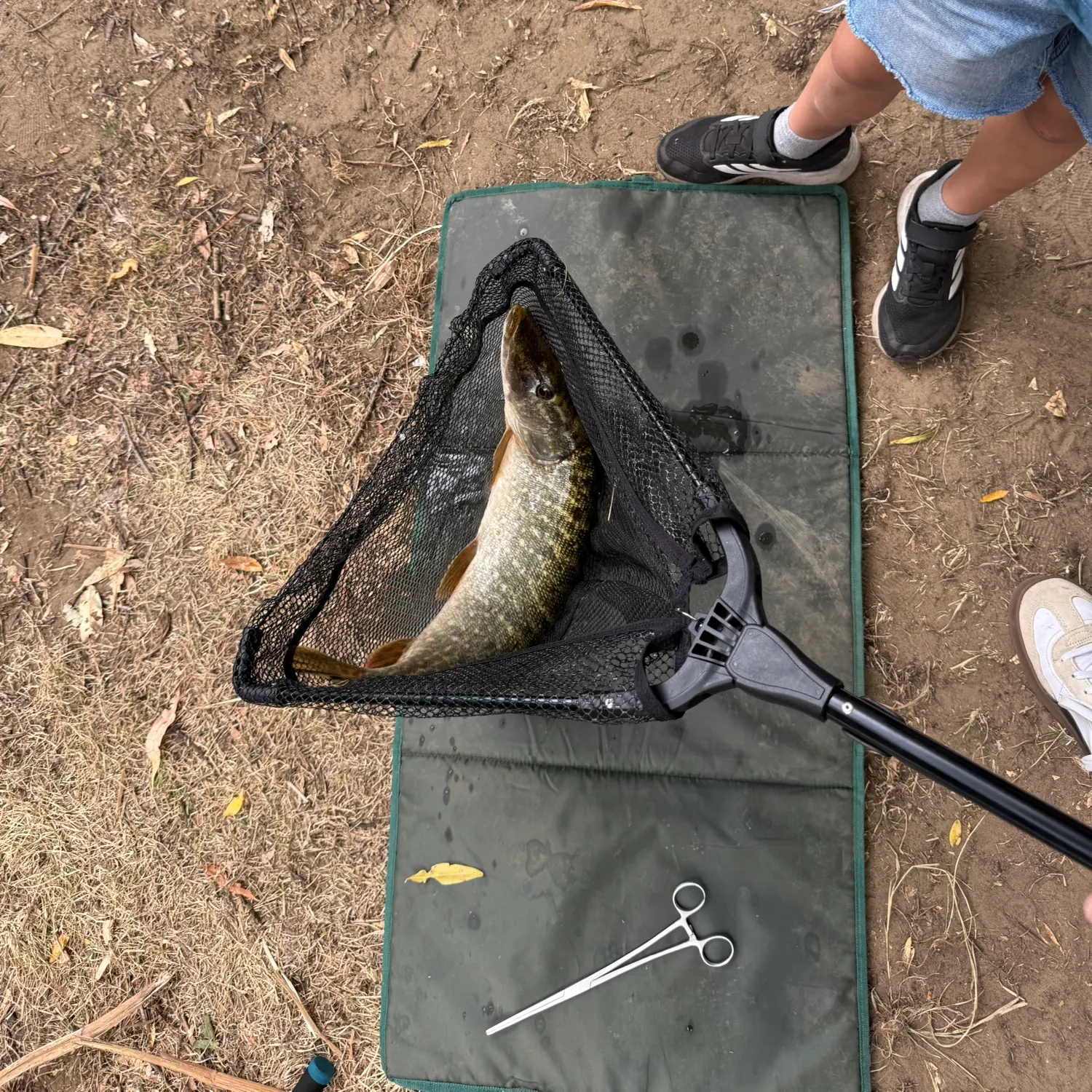 catch