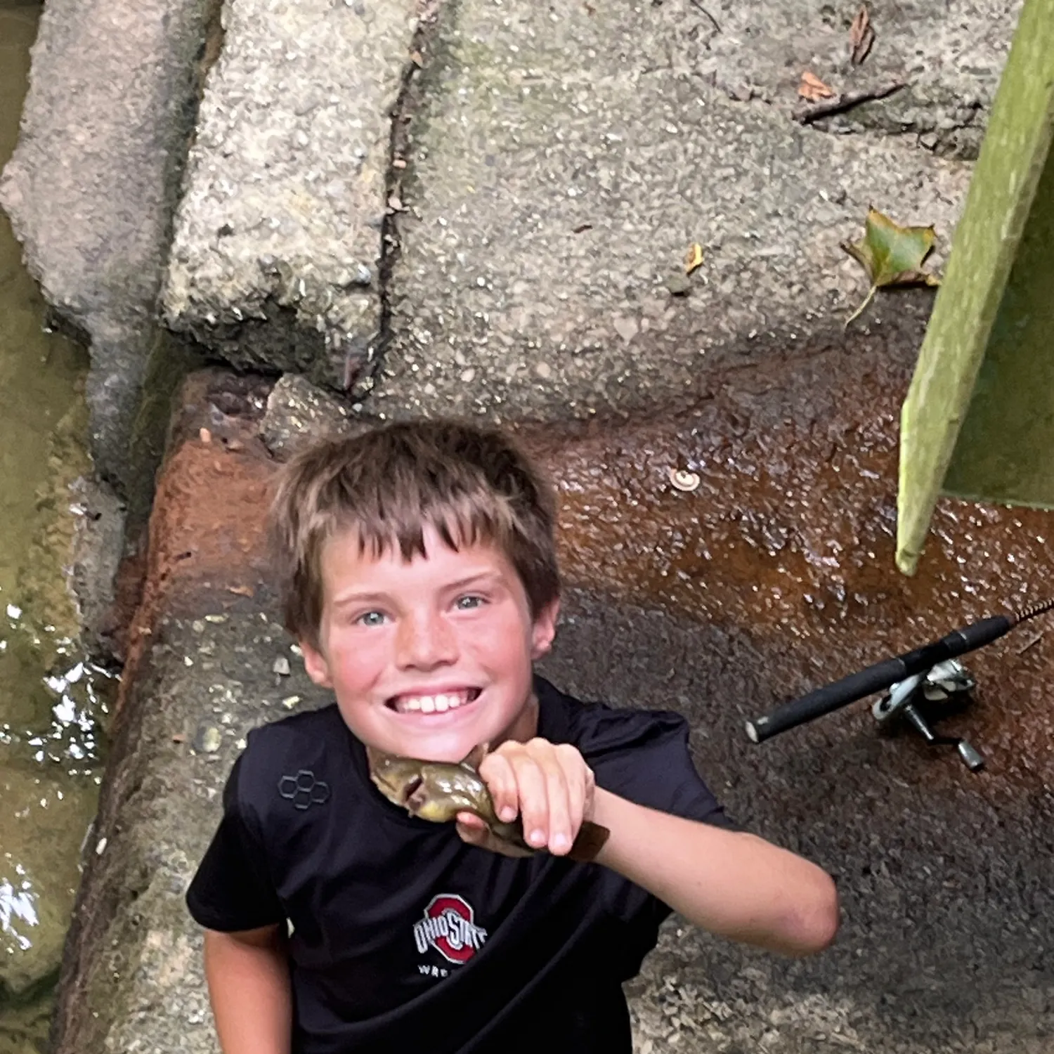 The most recent Yellow bullhead catches on Fishbrain