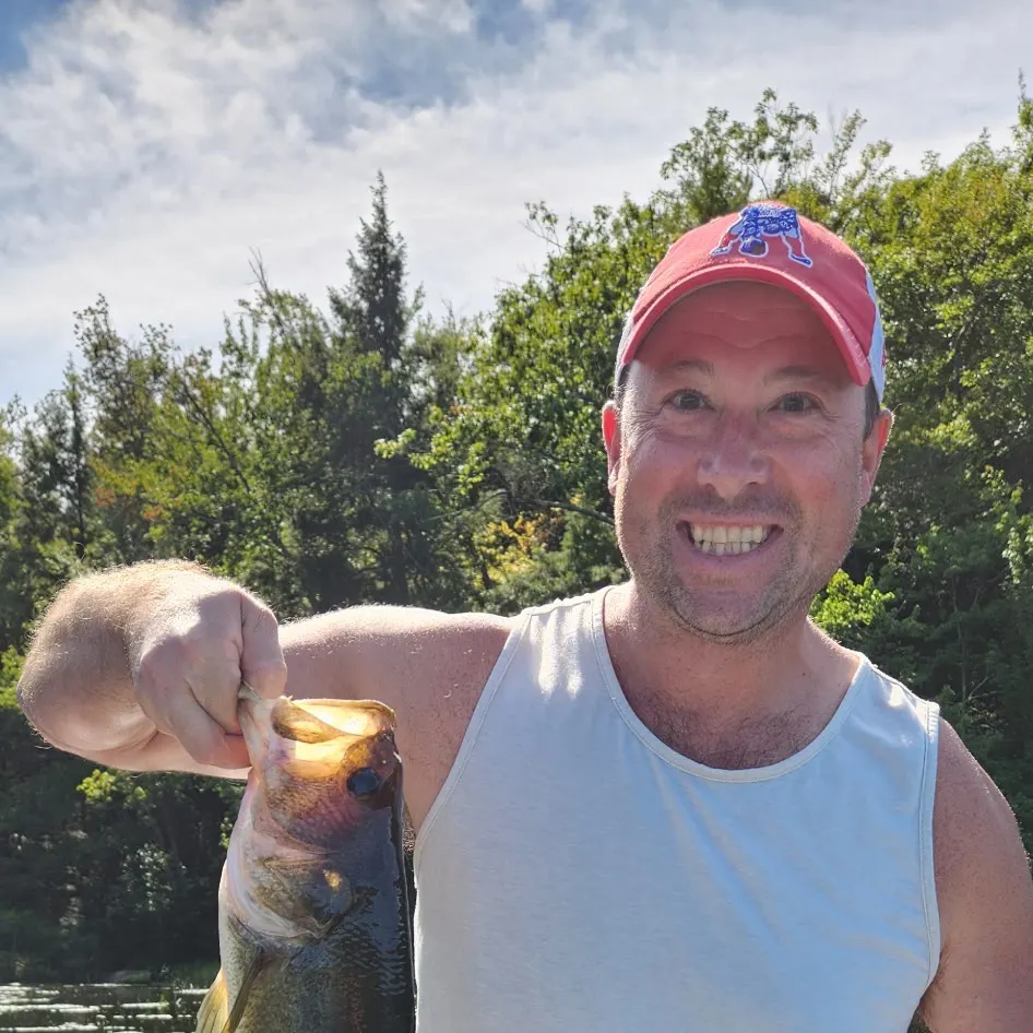 Largemouth bass caught on Fishbrain