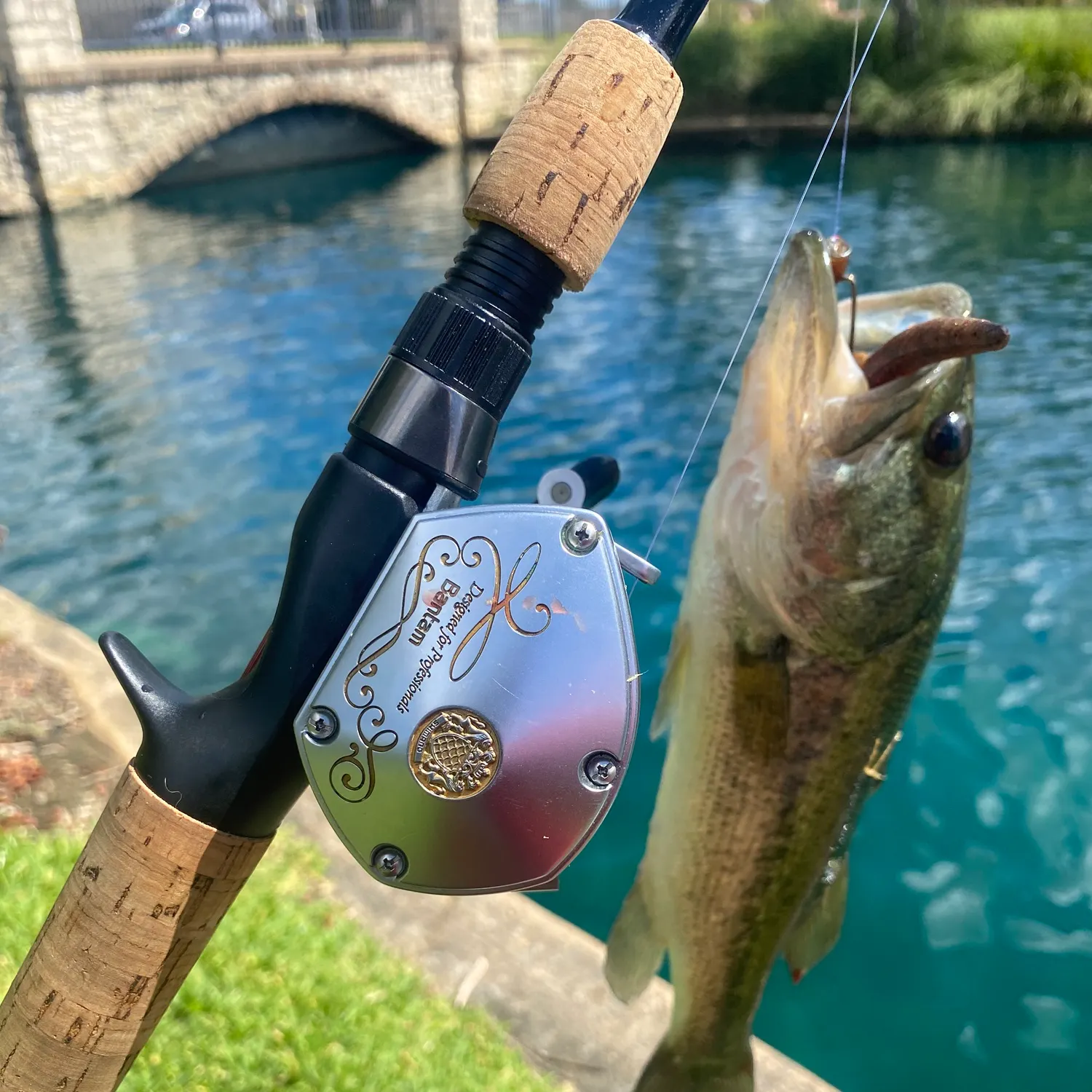 Largemouth bass caught on Fishbrain