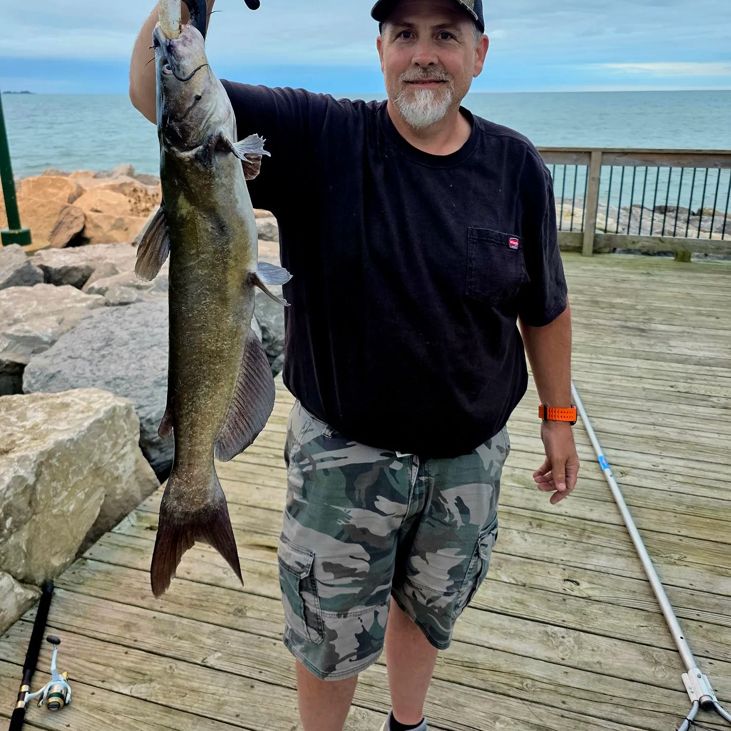 Channel catfish caught on Fishbrain