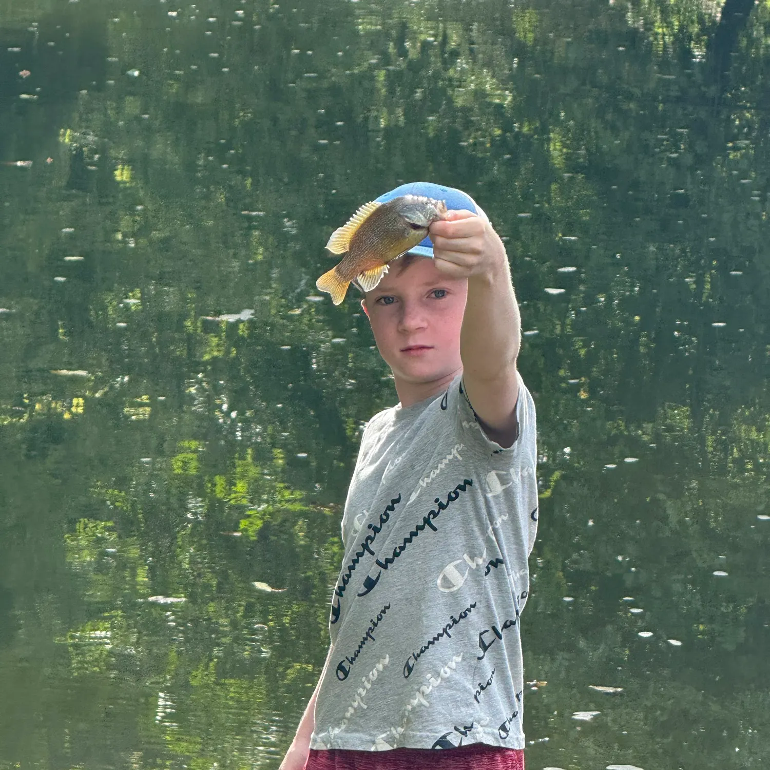 The most recent Warmouth catches on Fishbrain