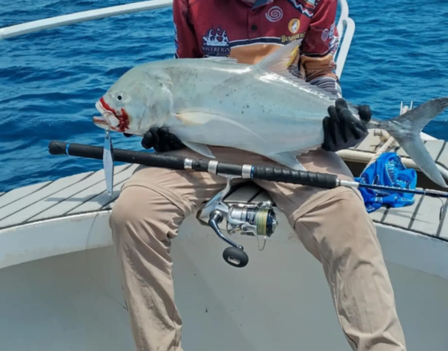 Brassy trevally