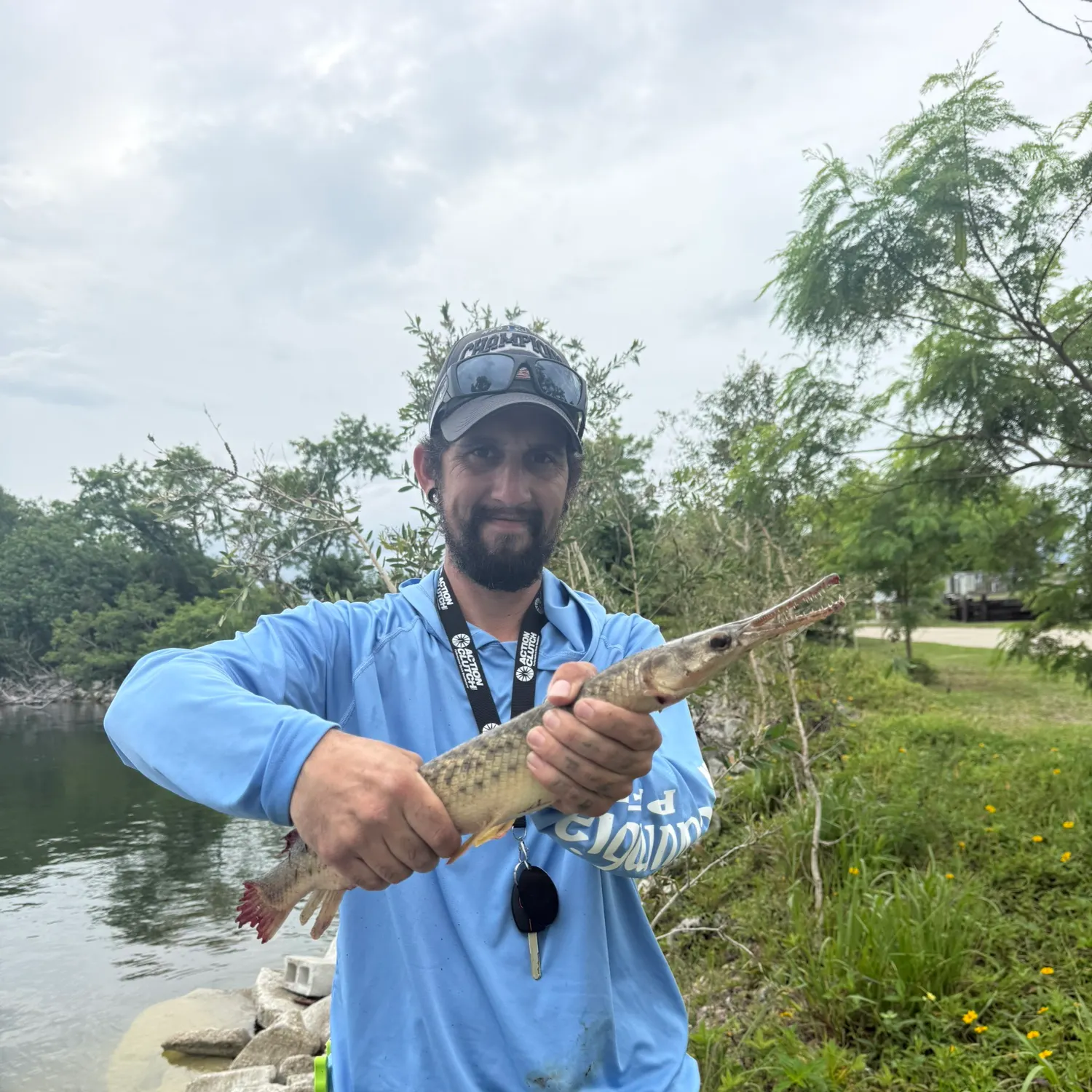The most recent Longnose gar catches on Fishbrain
