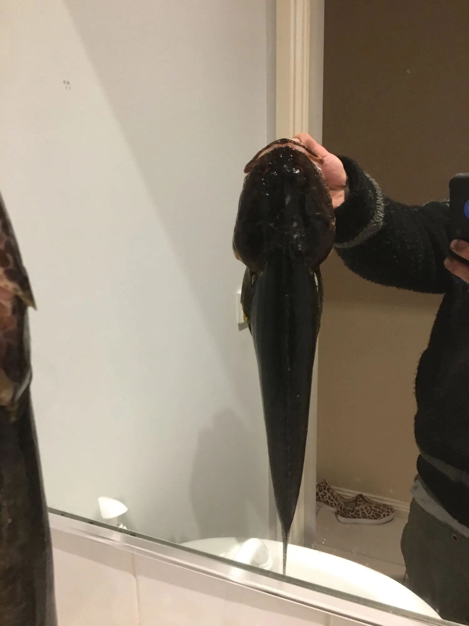 Post image from bthomas8619