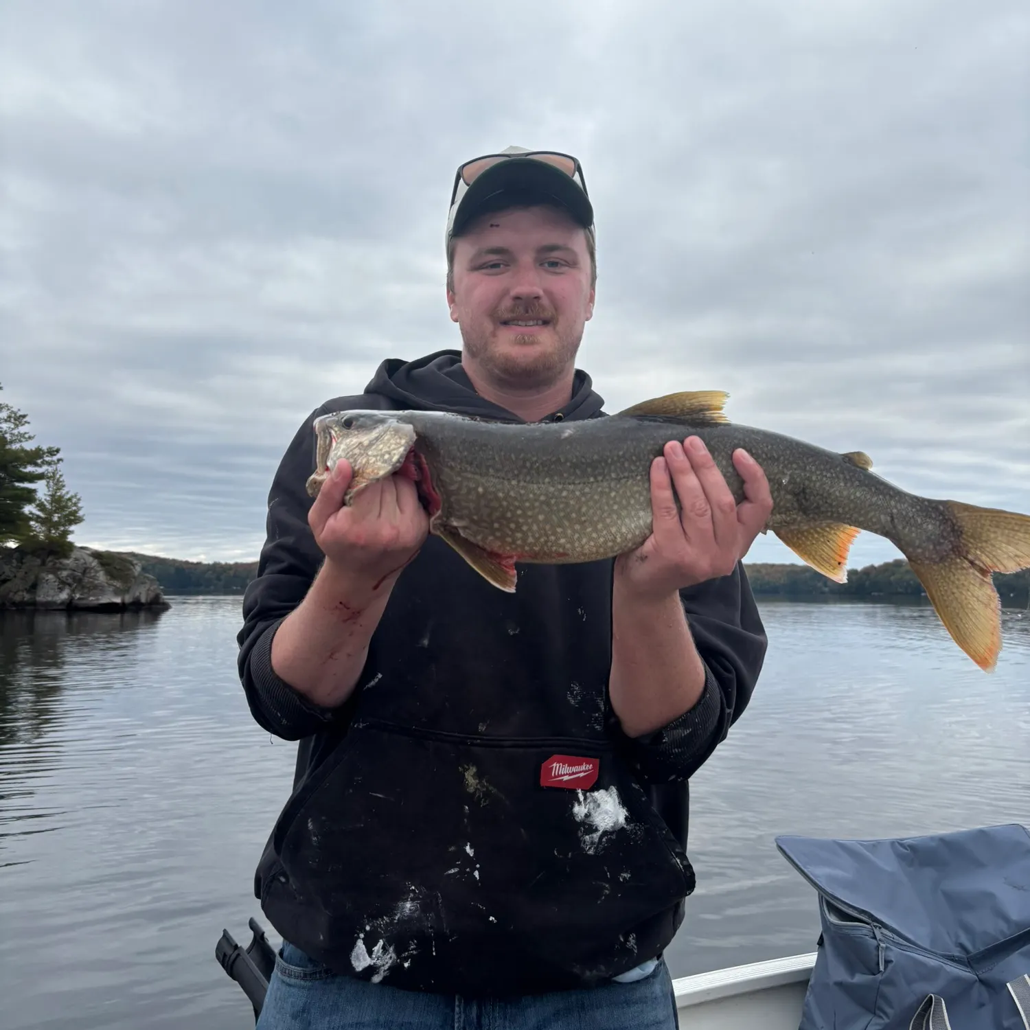 Lake char caught on Fishbrain