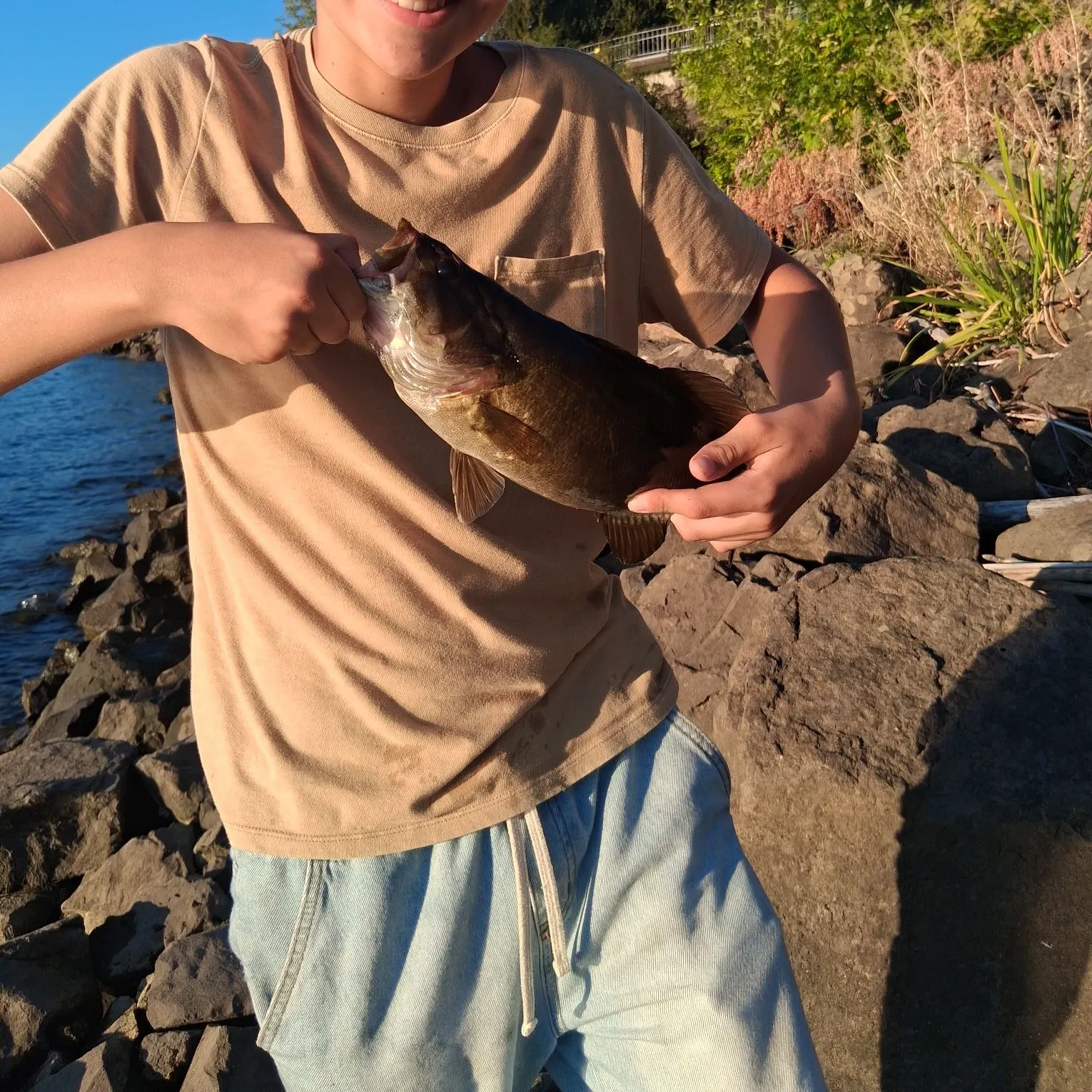 Smallmouth bass caught on Fishbrain