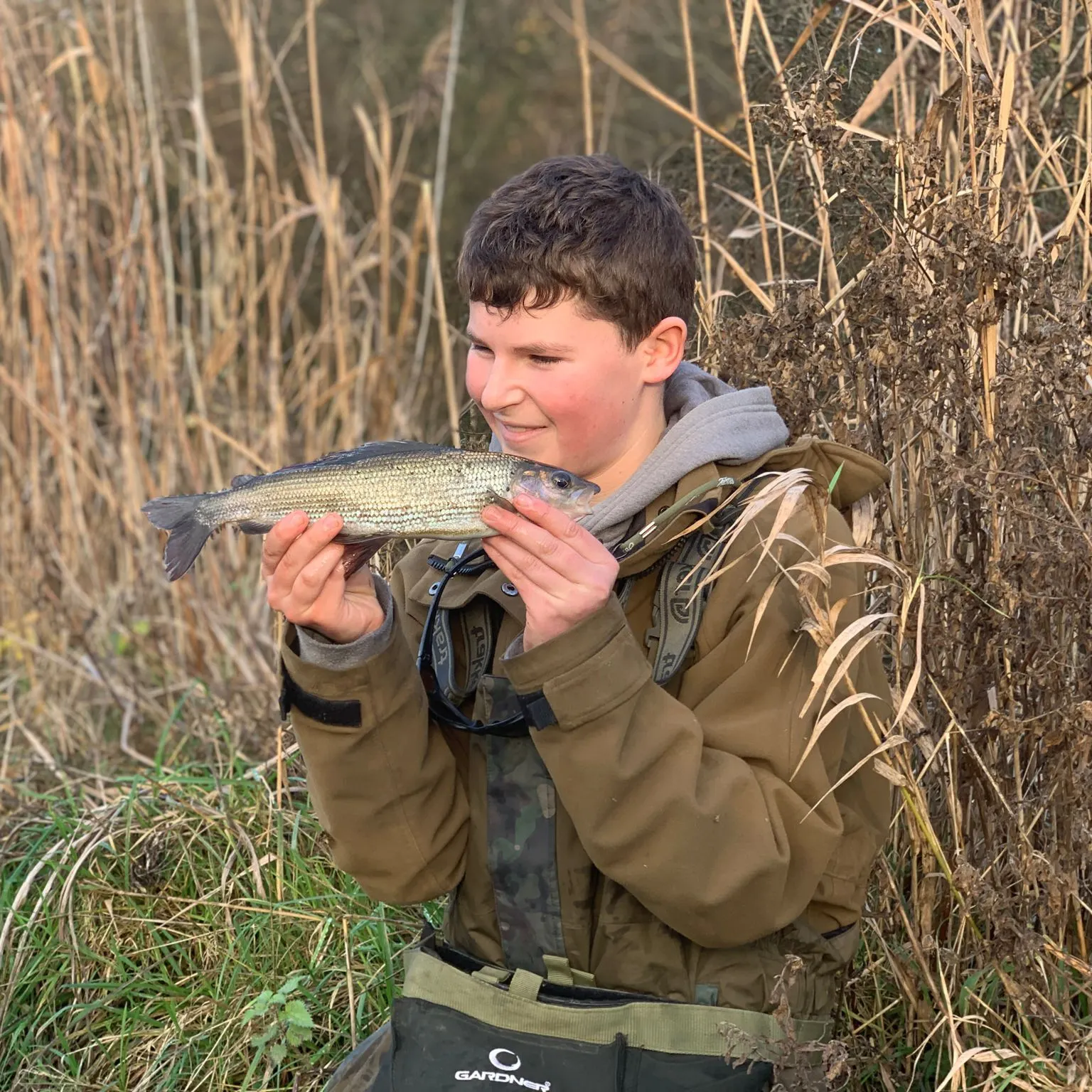 The most recent European grayling catches on Fishbrain