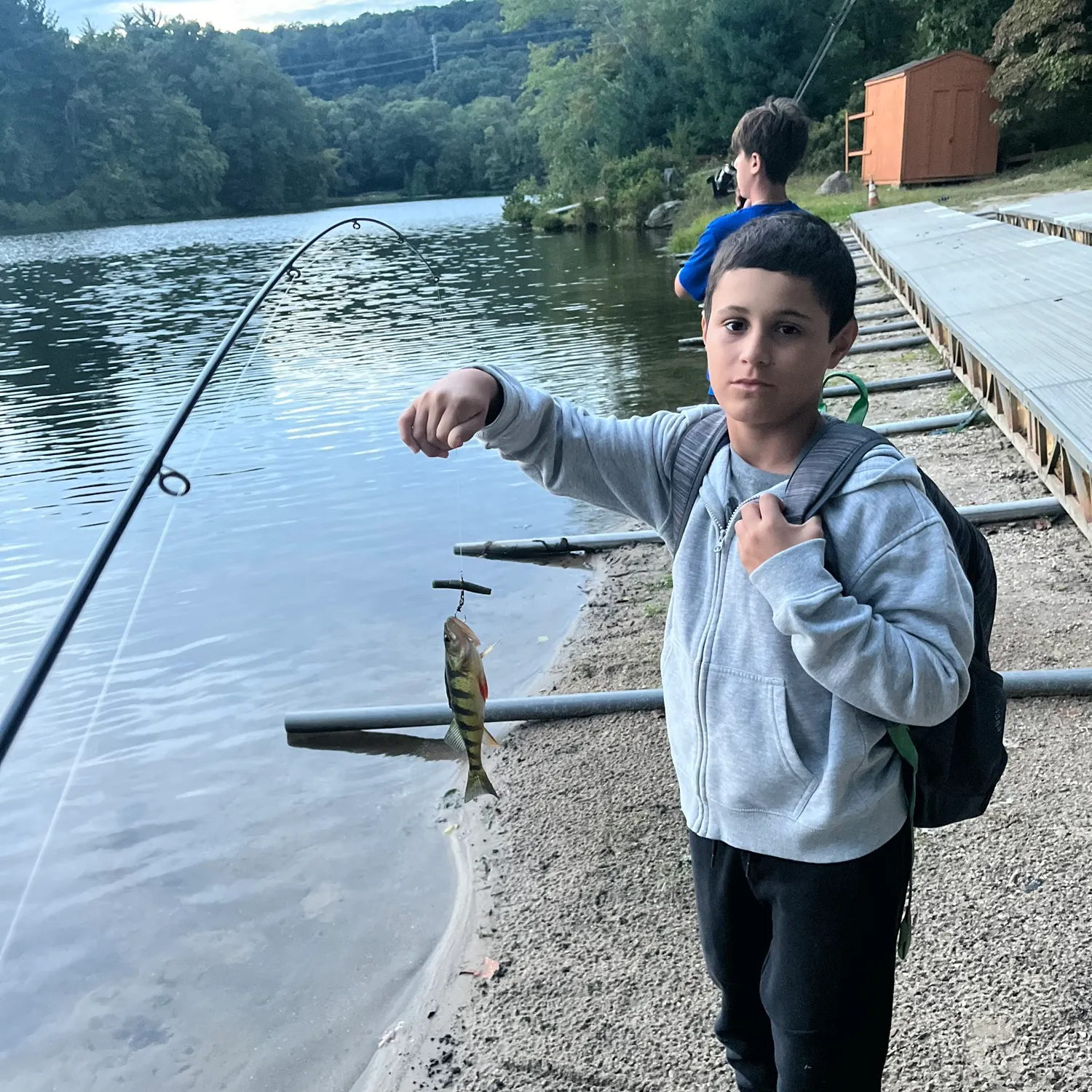 Yellow perch caught on Fishbrain