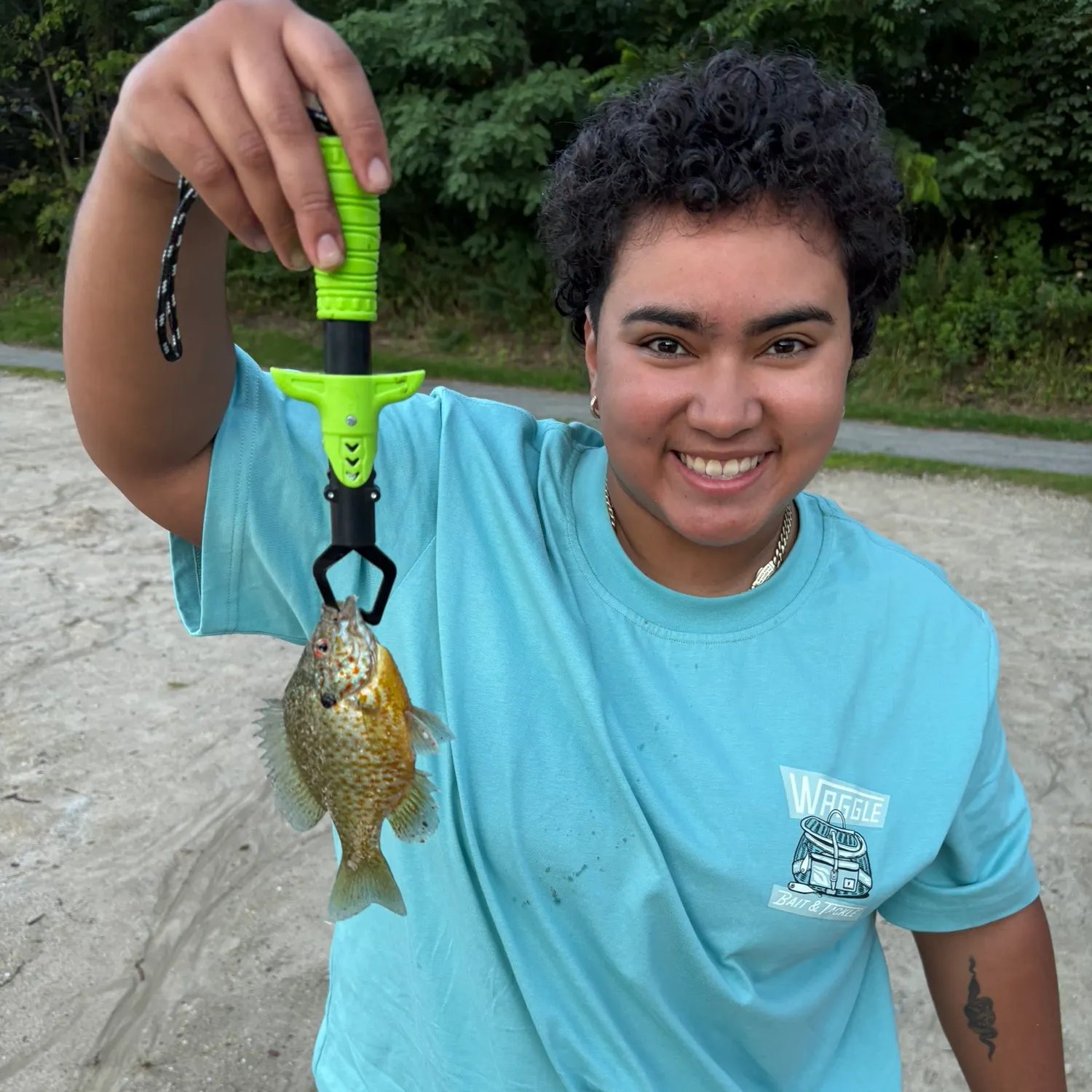 Bluegill caught on Fishbrain