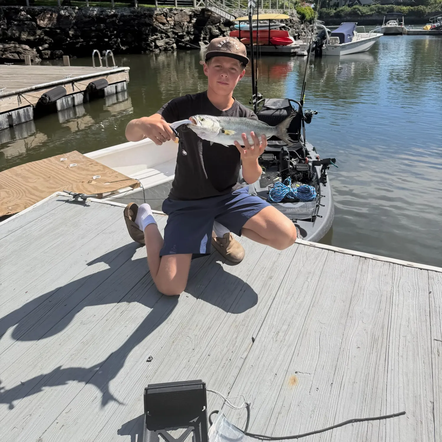 Bluefish caught on Fishbrain