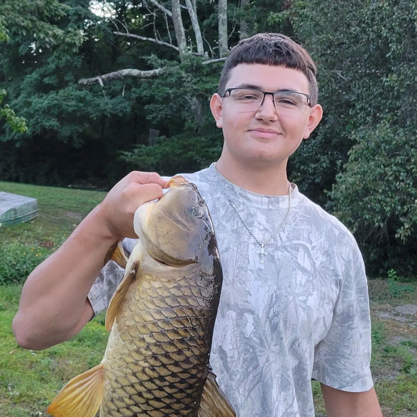 Common carp caught on Fishbrain