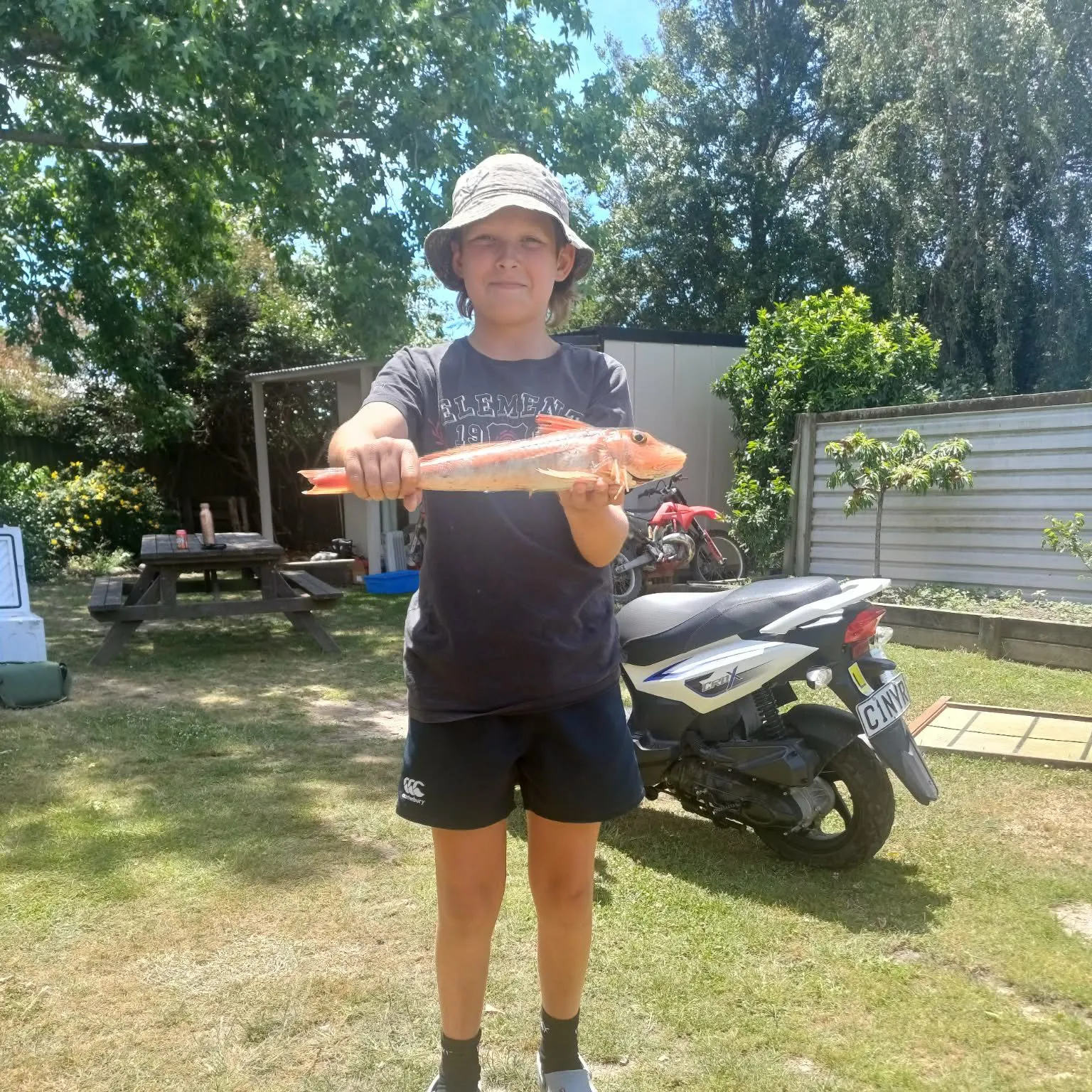 The most recent Cape Gurnard catches on Fishbrain