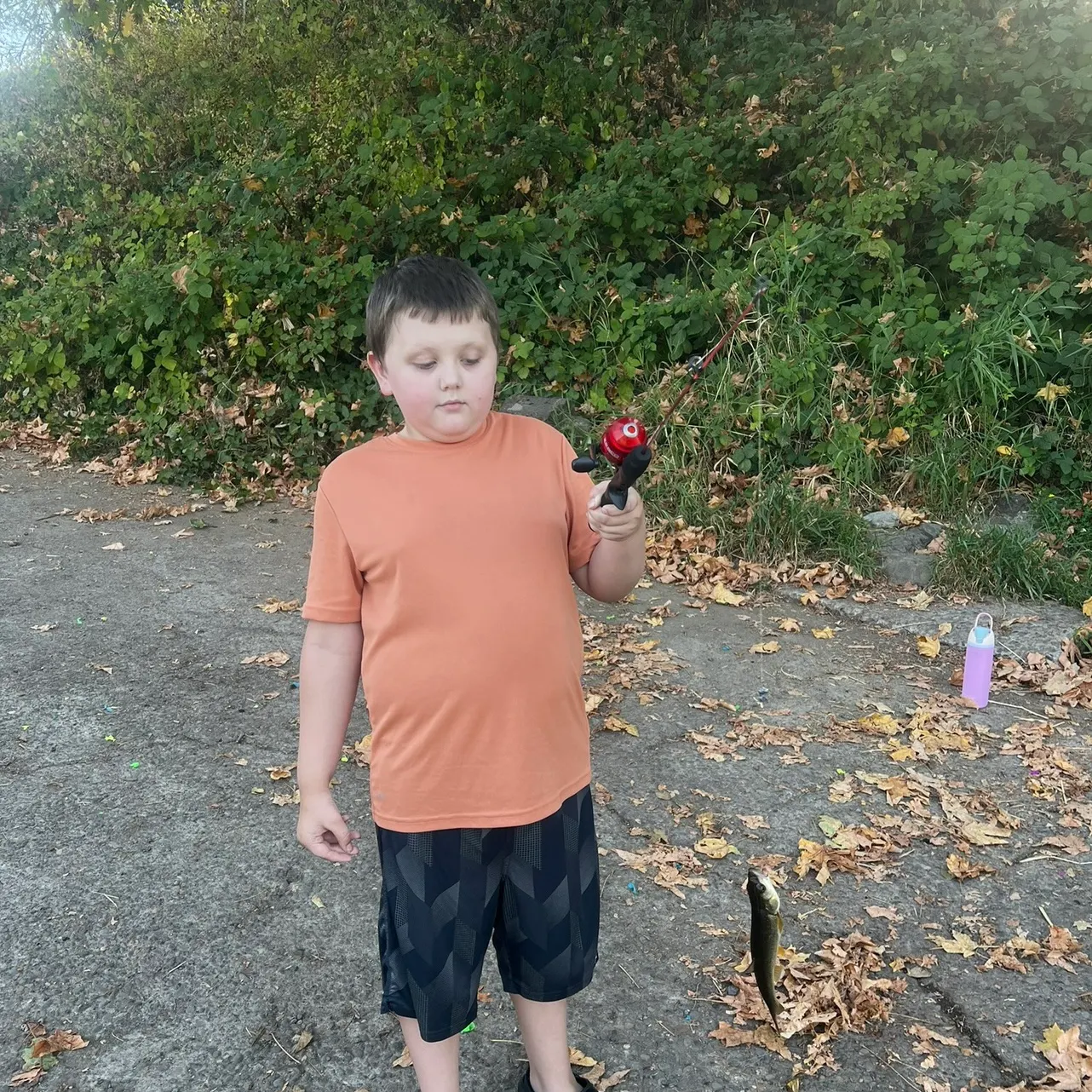 Northern pikeminnow caught on Fishbrain