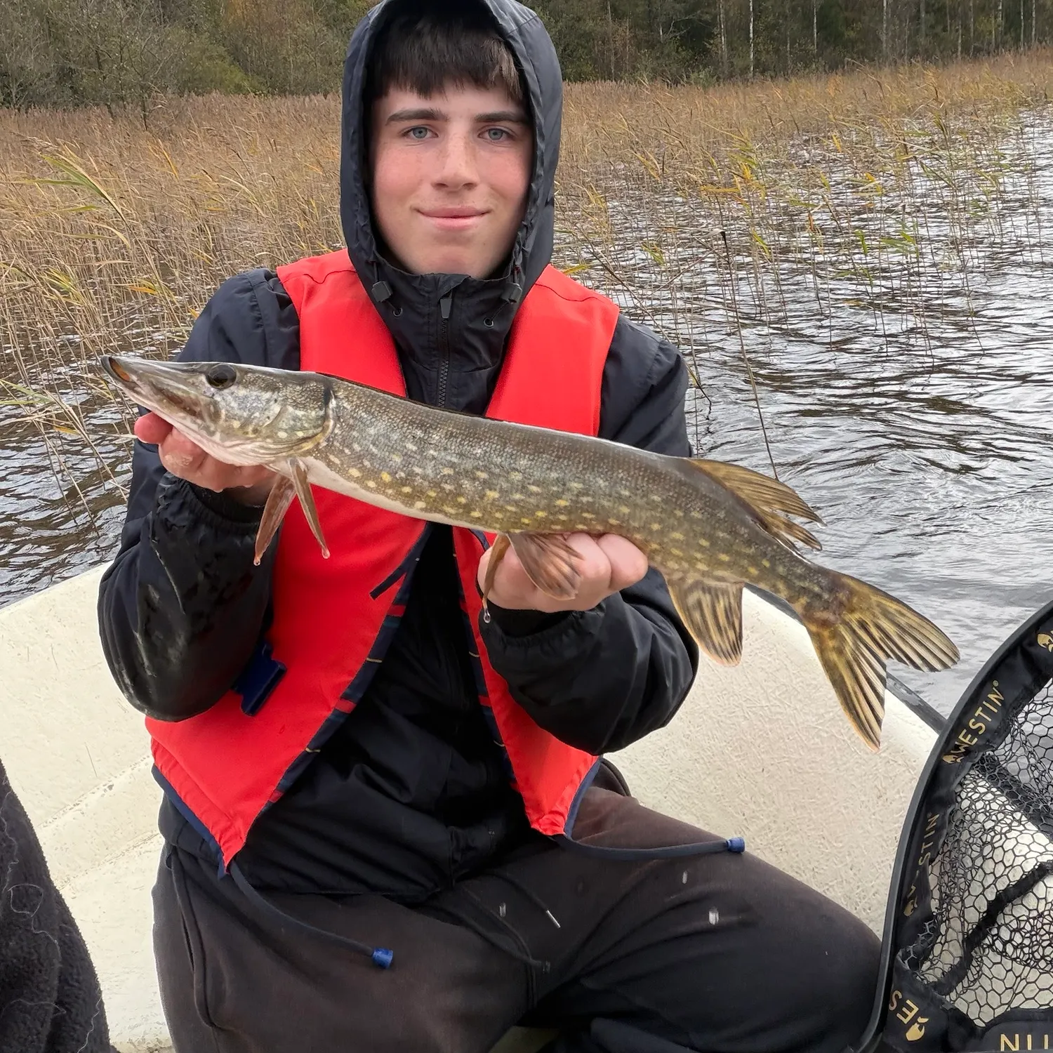 Northern pike caught on Fishbrain