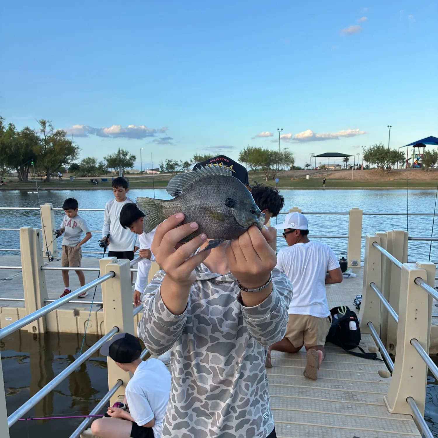 Bluegill caught on Fishbrain