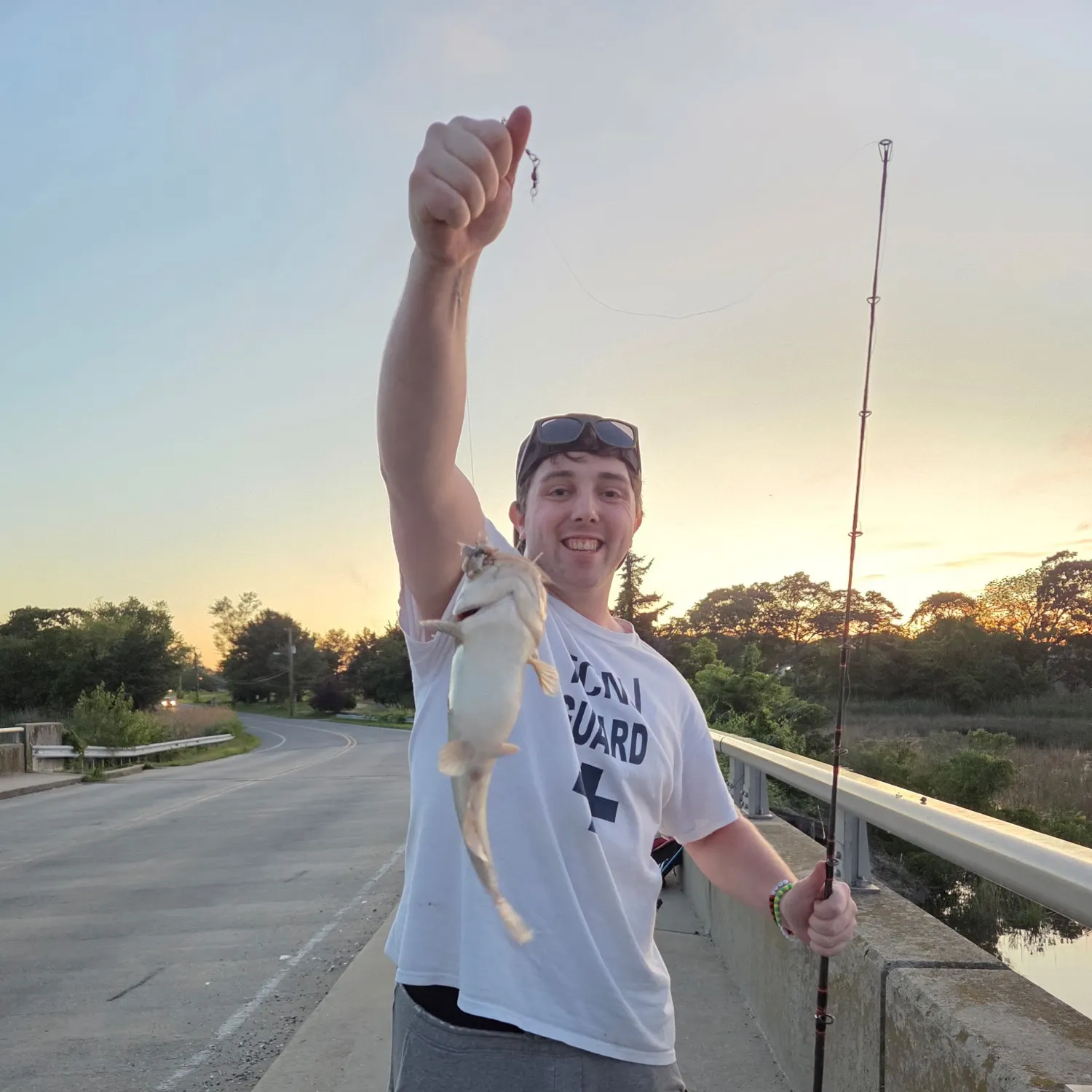 White bullhead caught on Fishbrain