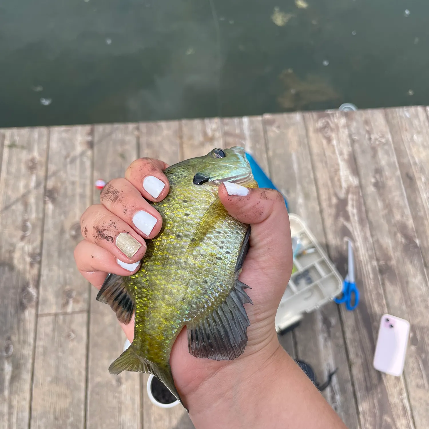 ᐅ Clarendon Hills 1st Addition fishing reports🎣• Roca, NE (United ...
