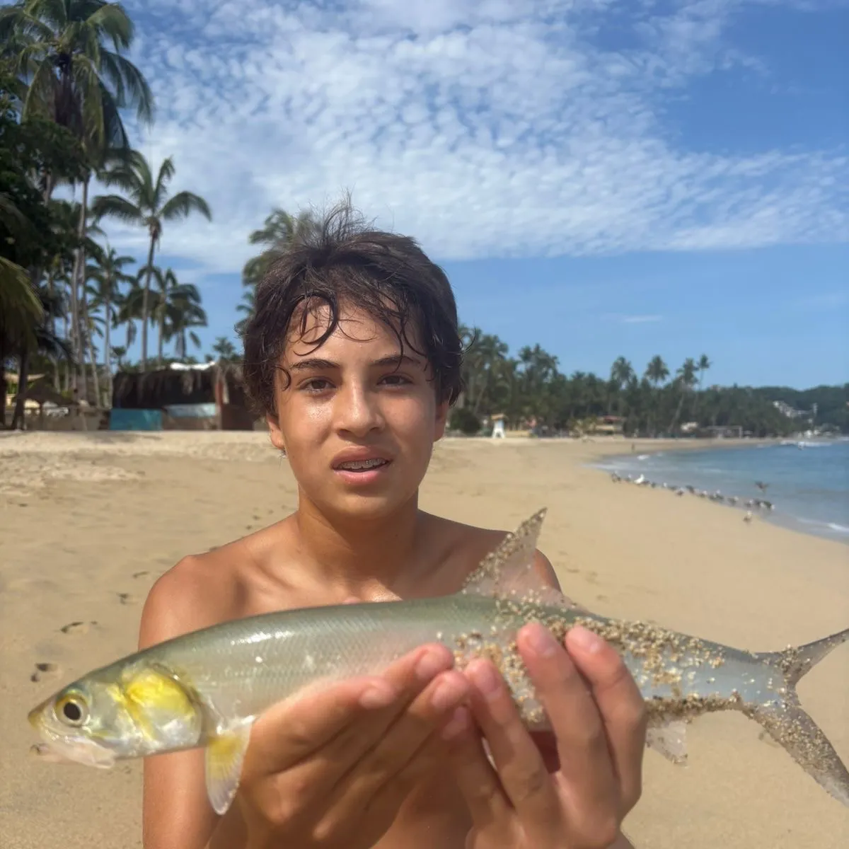 Ladyfish caught on Fishbrain
