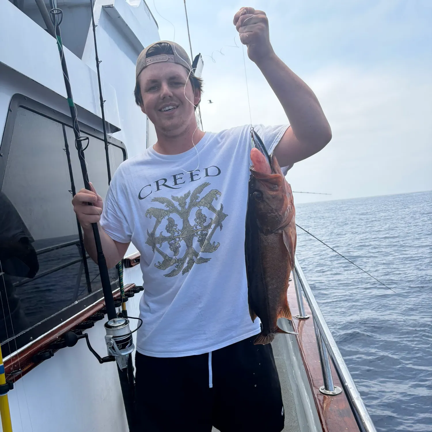 The most recent Bocaccio rockfish catches on Fishbrain