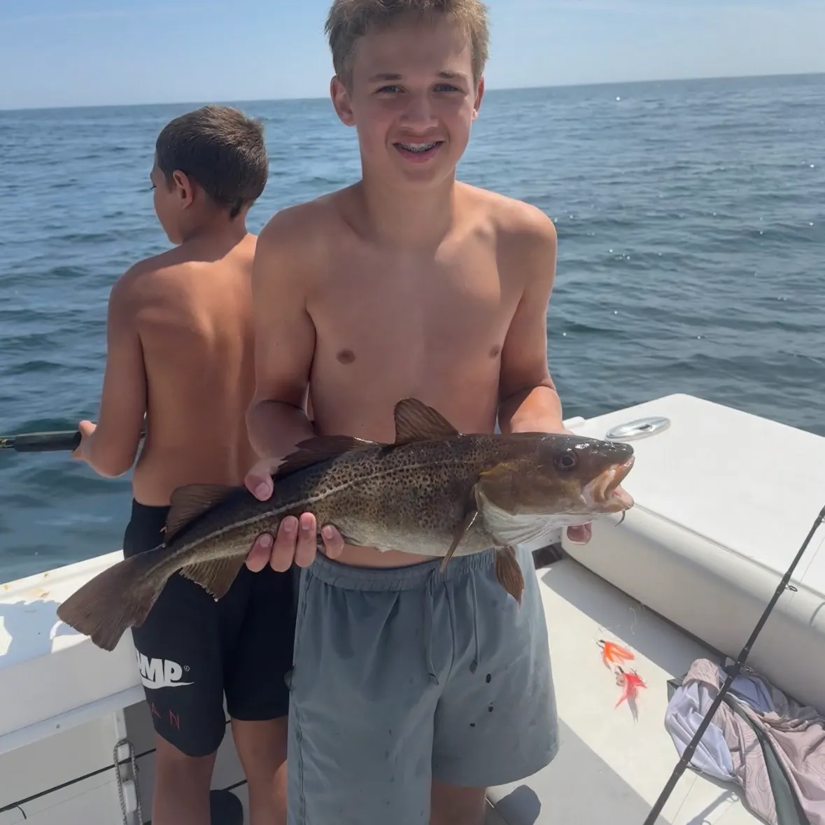 Atlantic cod caught on Fishbrain