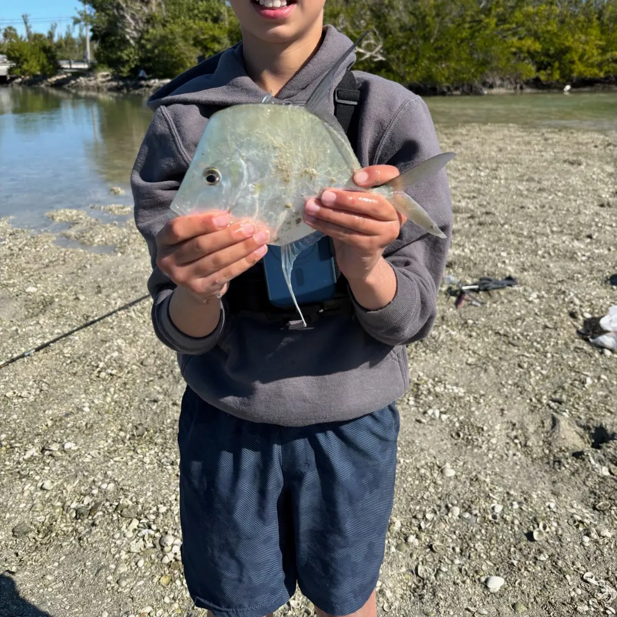 The most recent Lookdown catches on Fishbrain