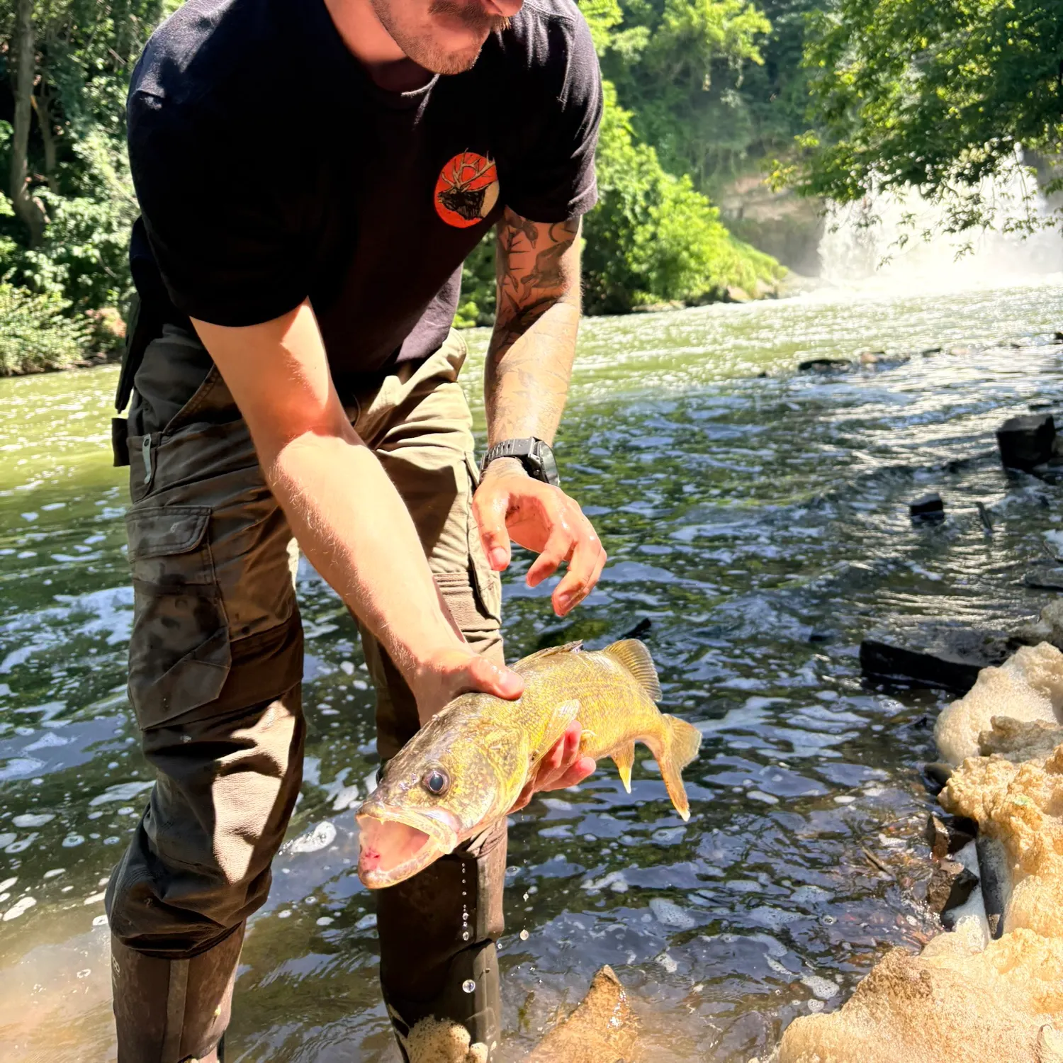 recently logged catches