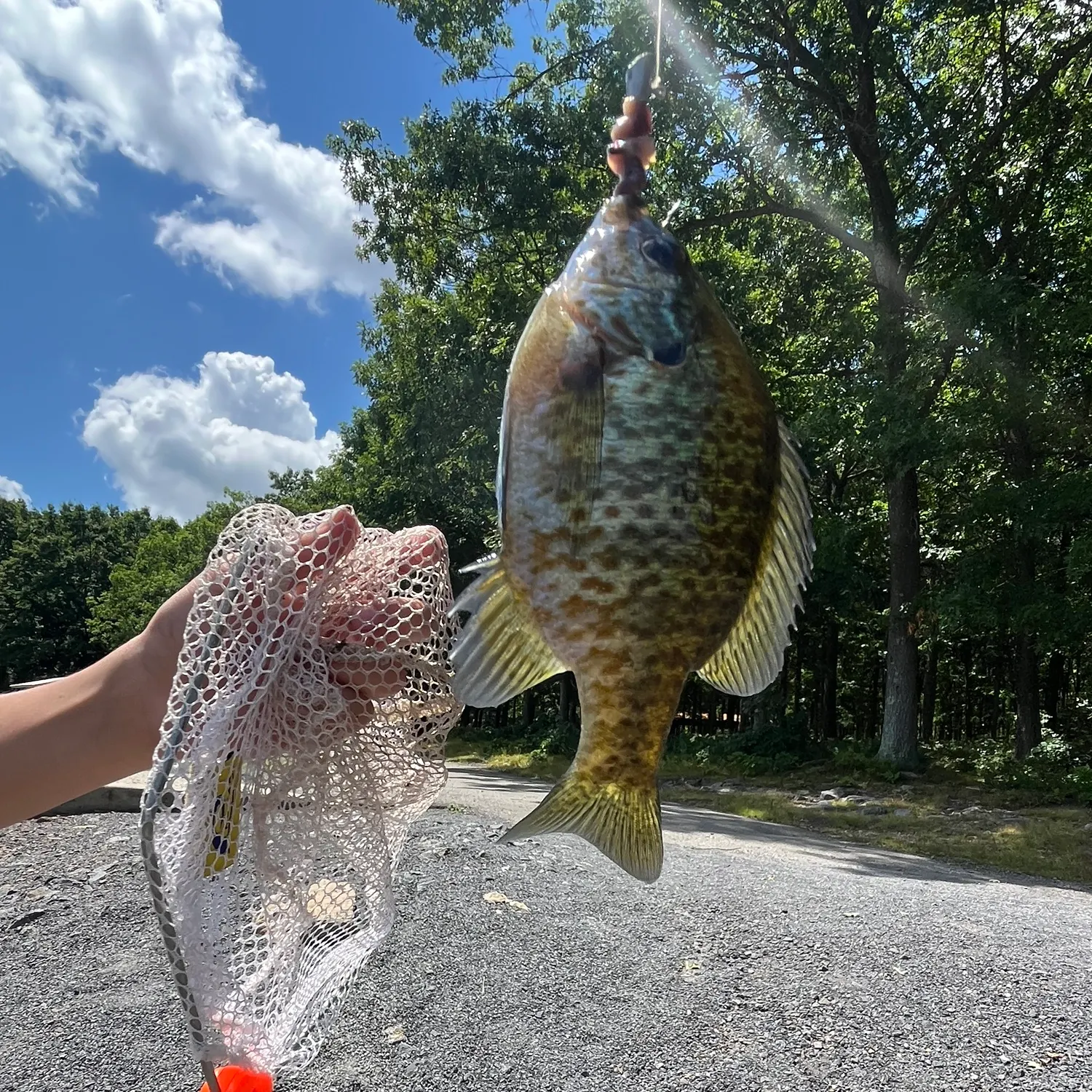 catch