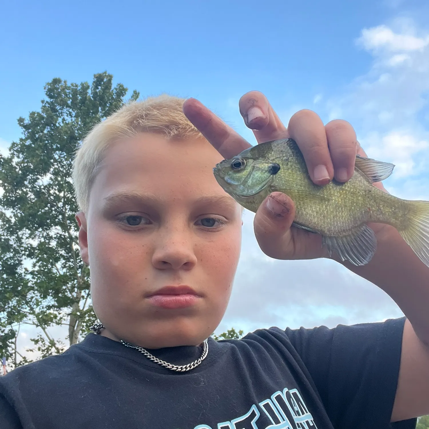 Redear sunfish caught on Fishbrain