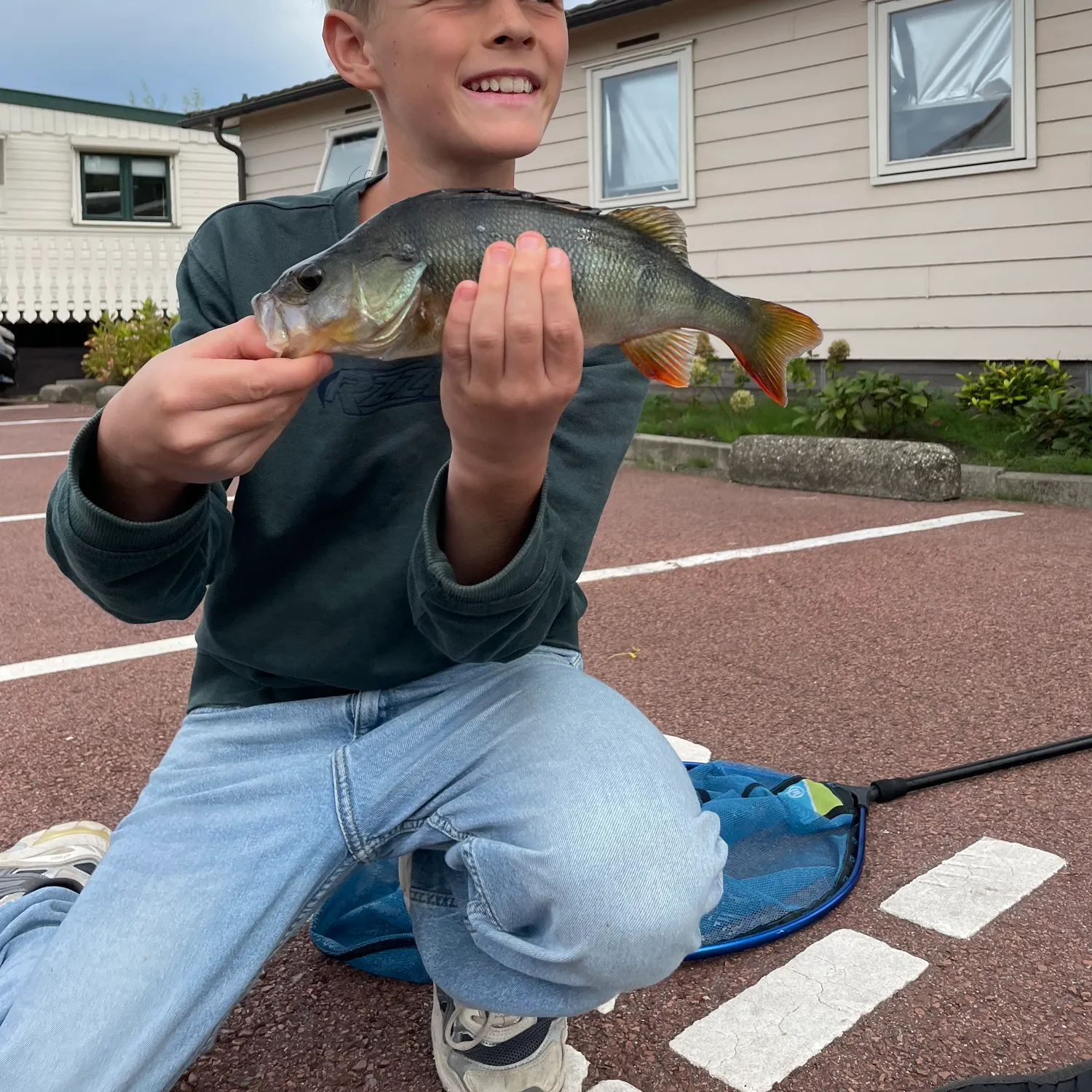 European perch caught on Fishbrain
