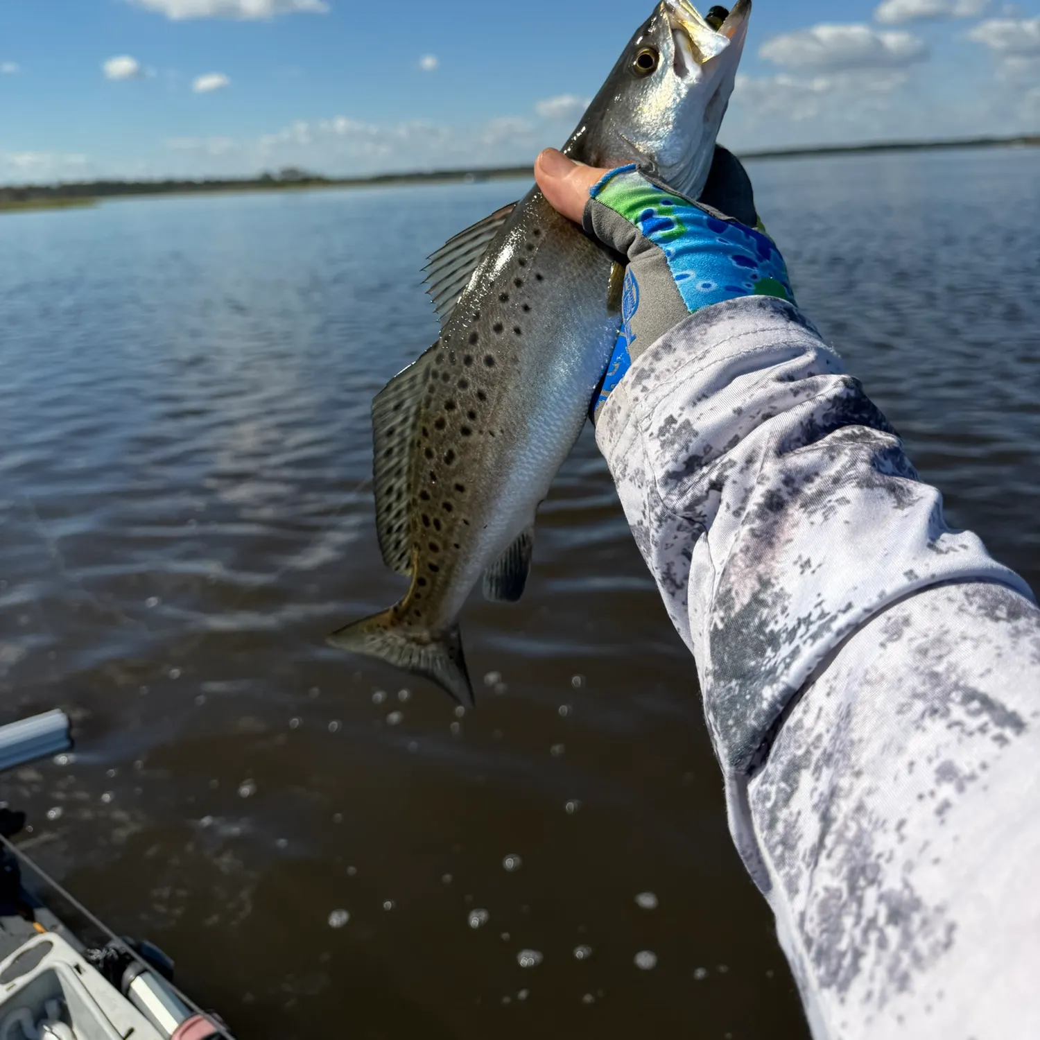 Spotted seatrout caught on Fishbrain