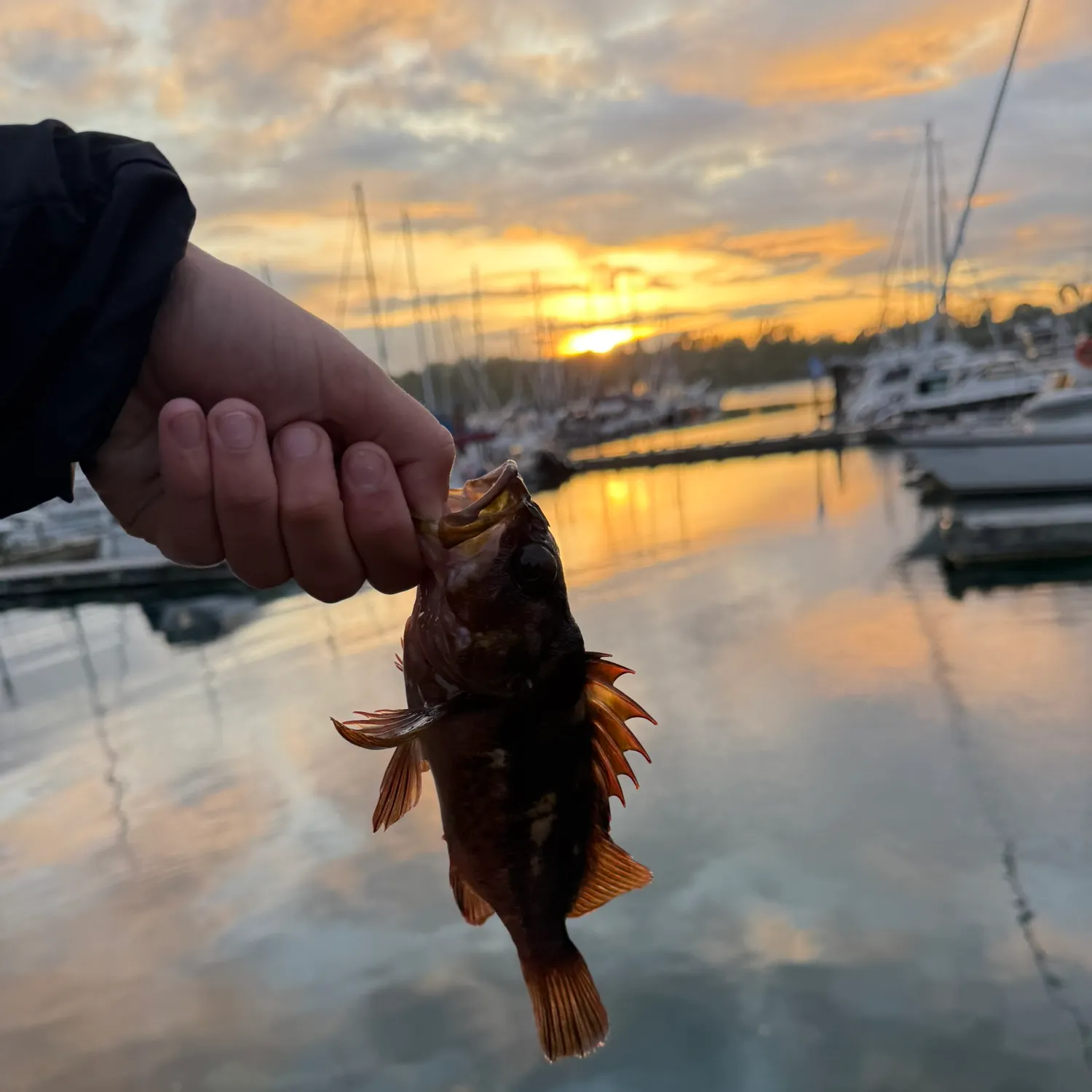 catch