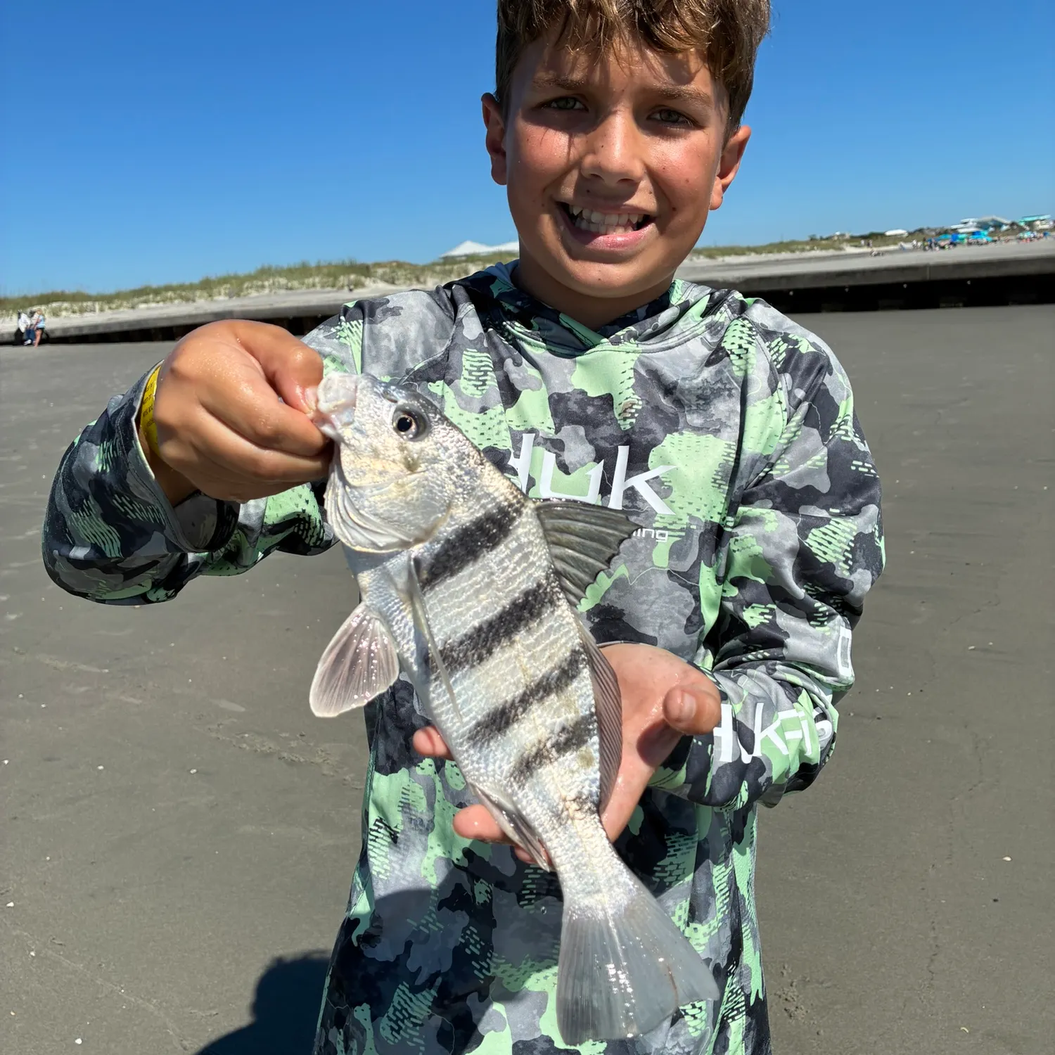 The most recent Black drum catches on Fishbrain