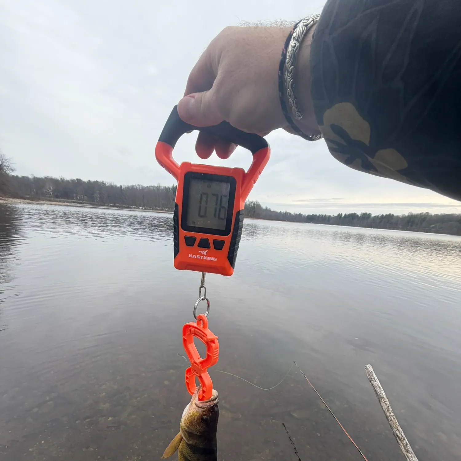 The most recent Yellow perch catches on Fishbrain
