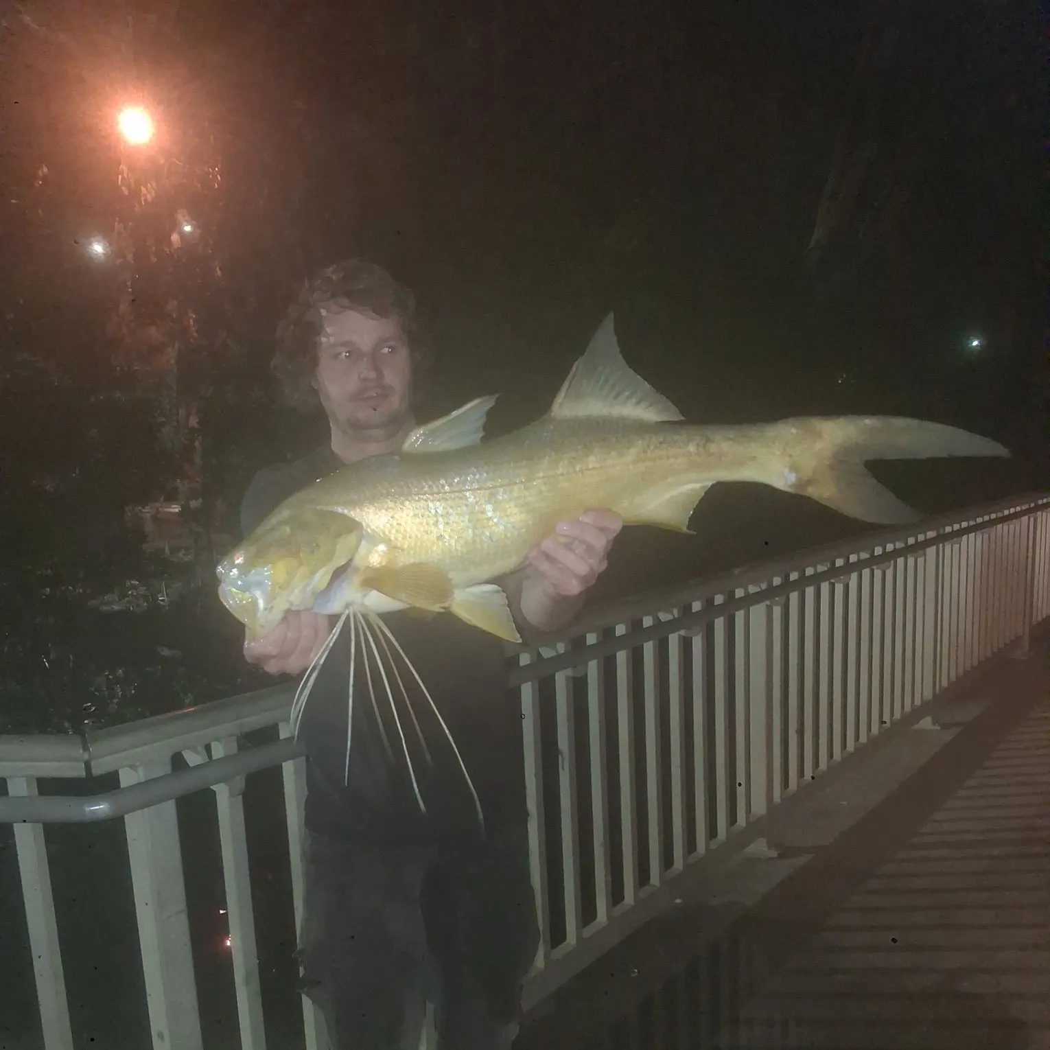 The most recent King threadfin catches on Fishbrain