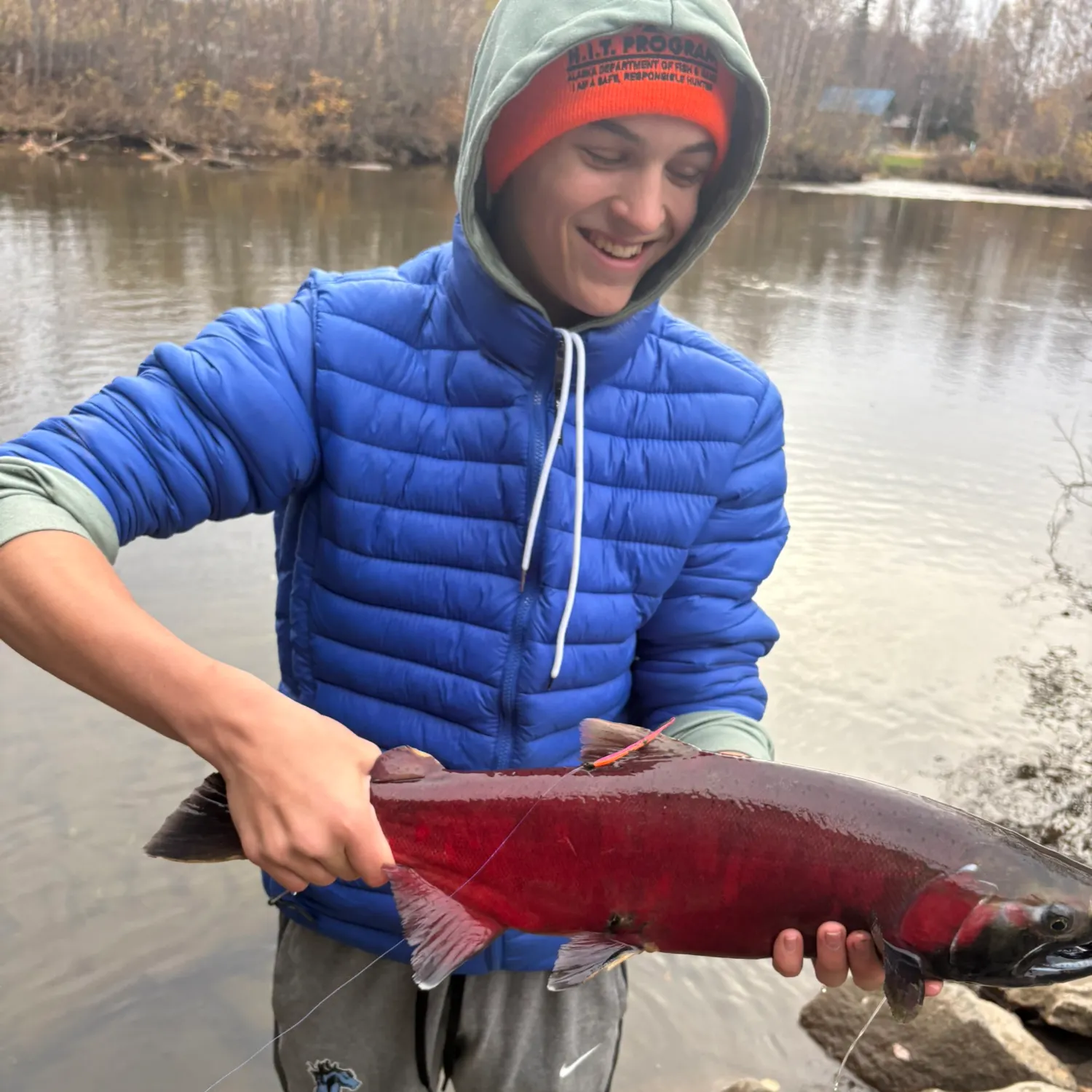 Coho salmon caught on Fishbrain