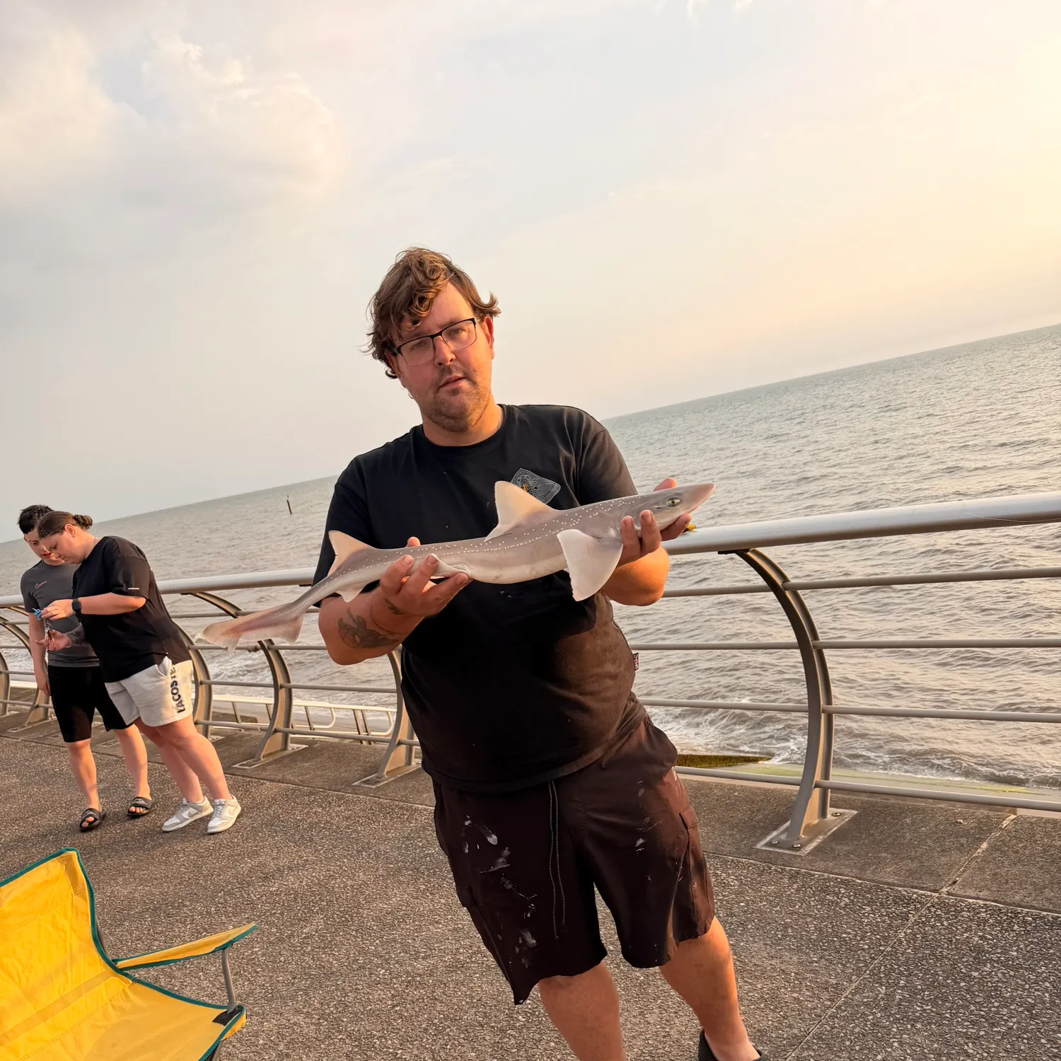 Starry smooth-hound caught on Fishbrain