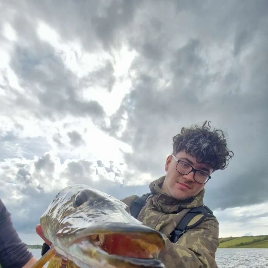 Northern pike caught on Fishbrain