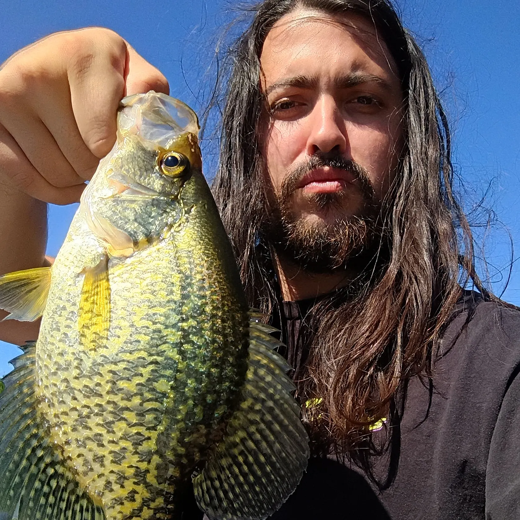 Black crappie caught on Fishbrain