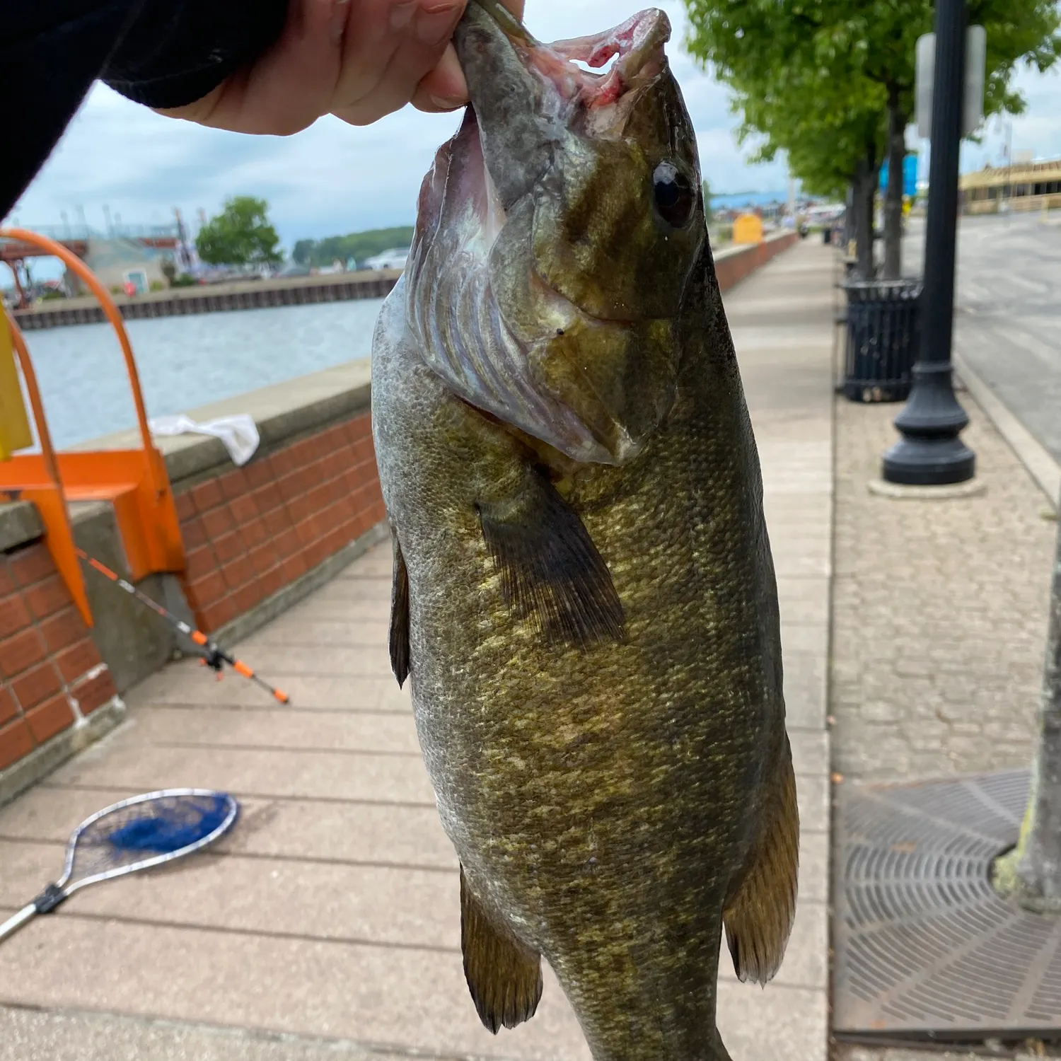 catch