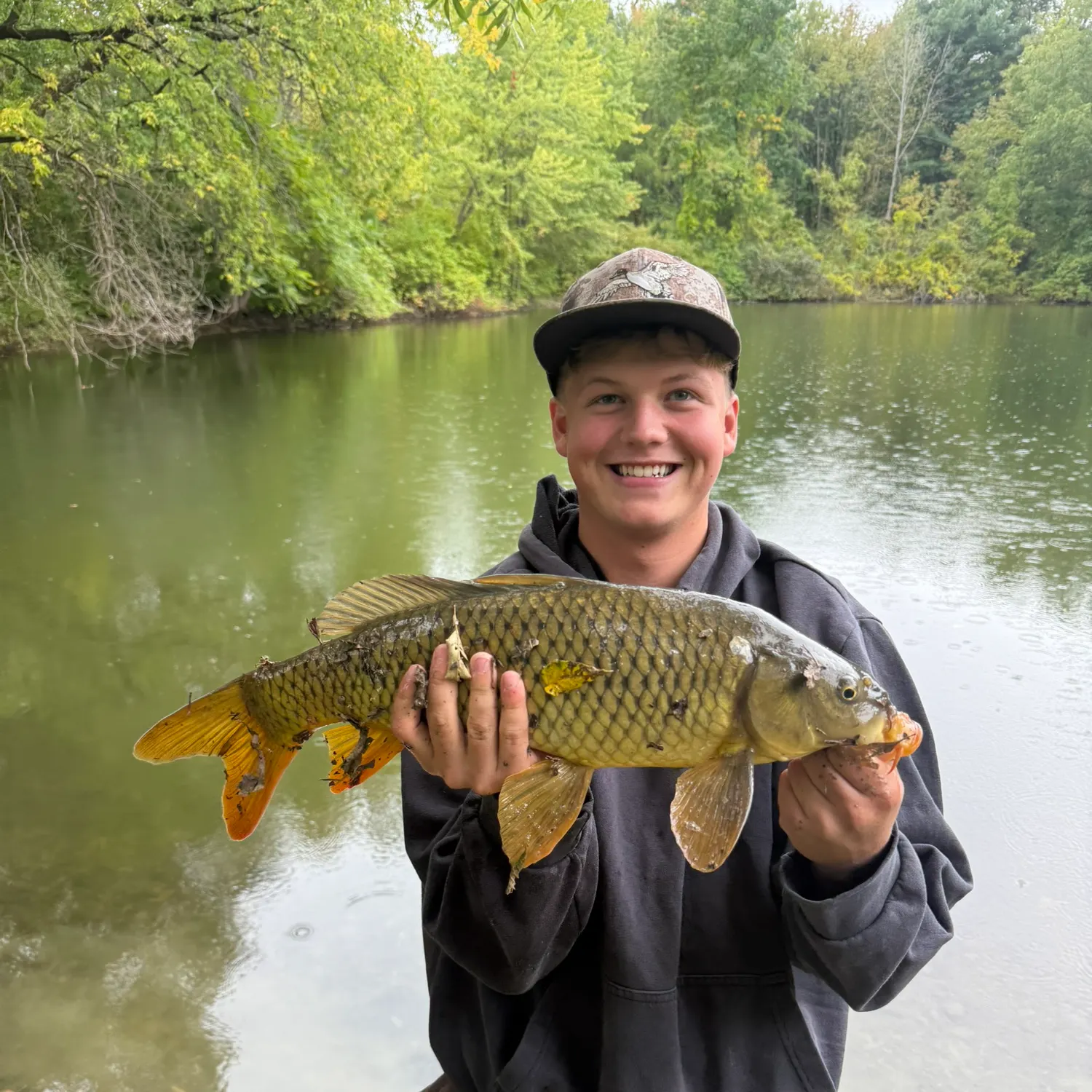 Common carp caught on Fishbrain