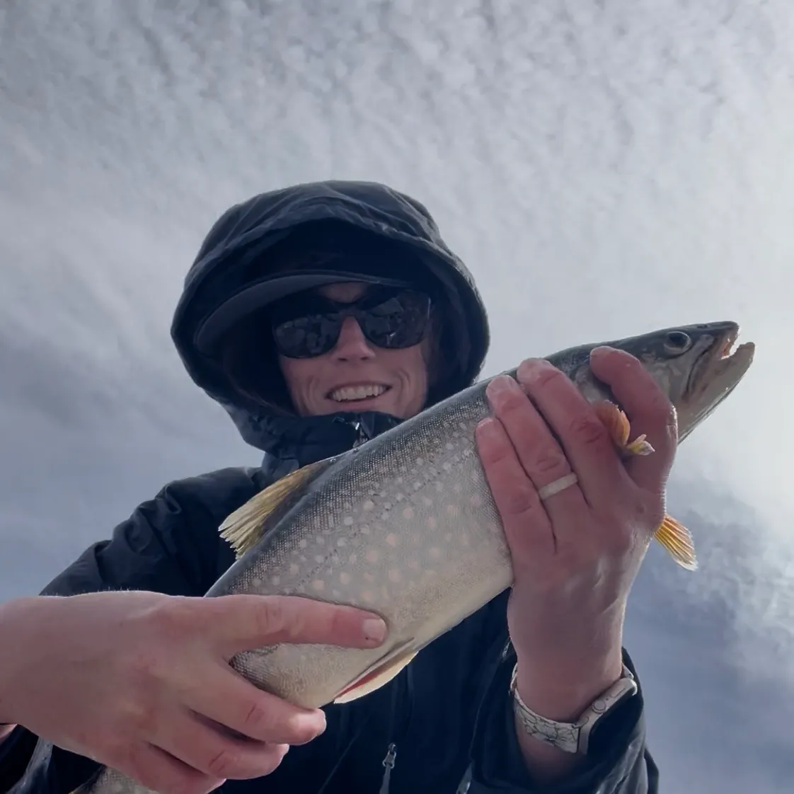 The most recent Splake catches on Fishbrain